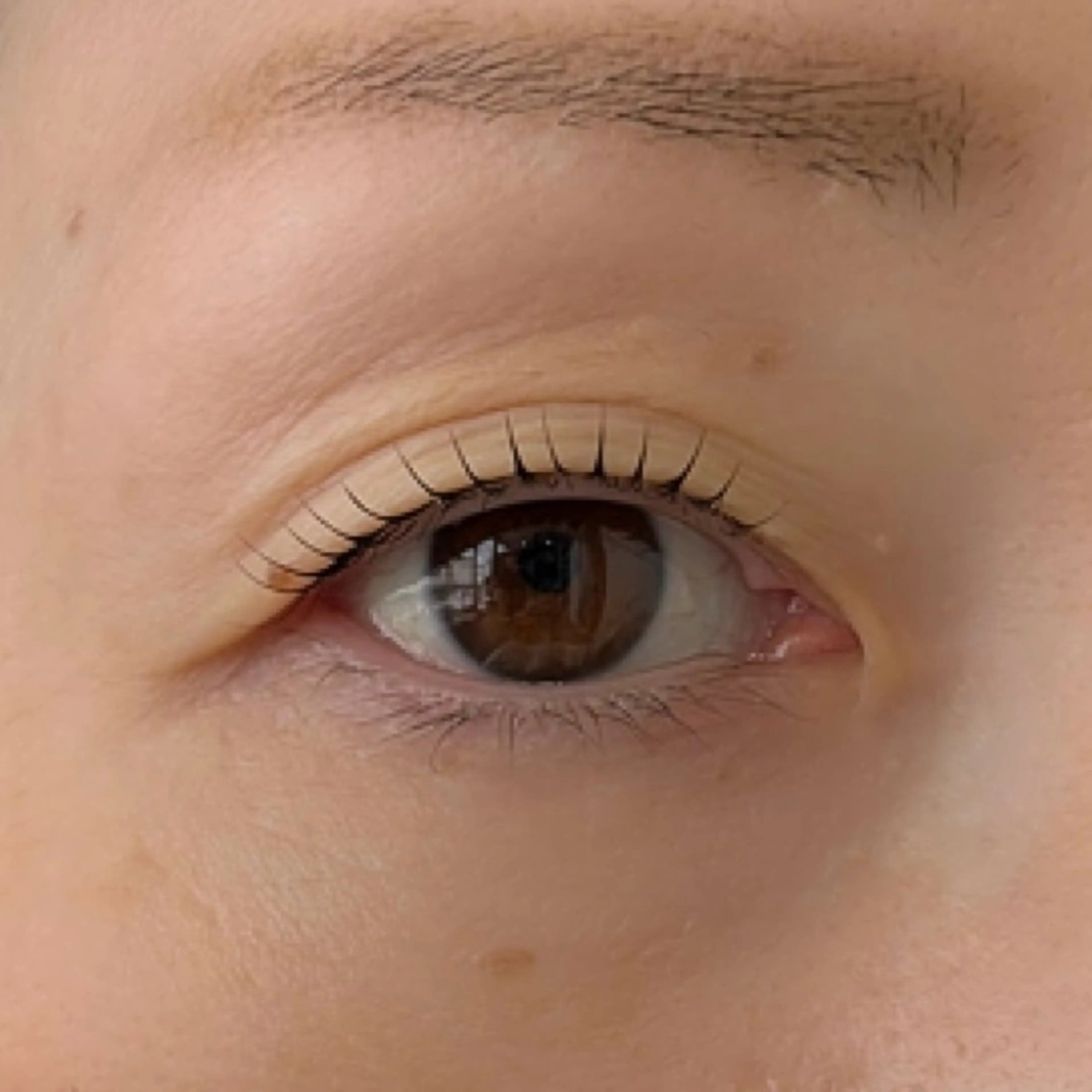 マツエク・マツパ マツパ BE DESIGN 堀尾の眉毛・アイブロウイメージ