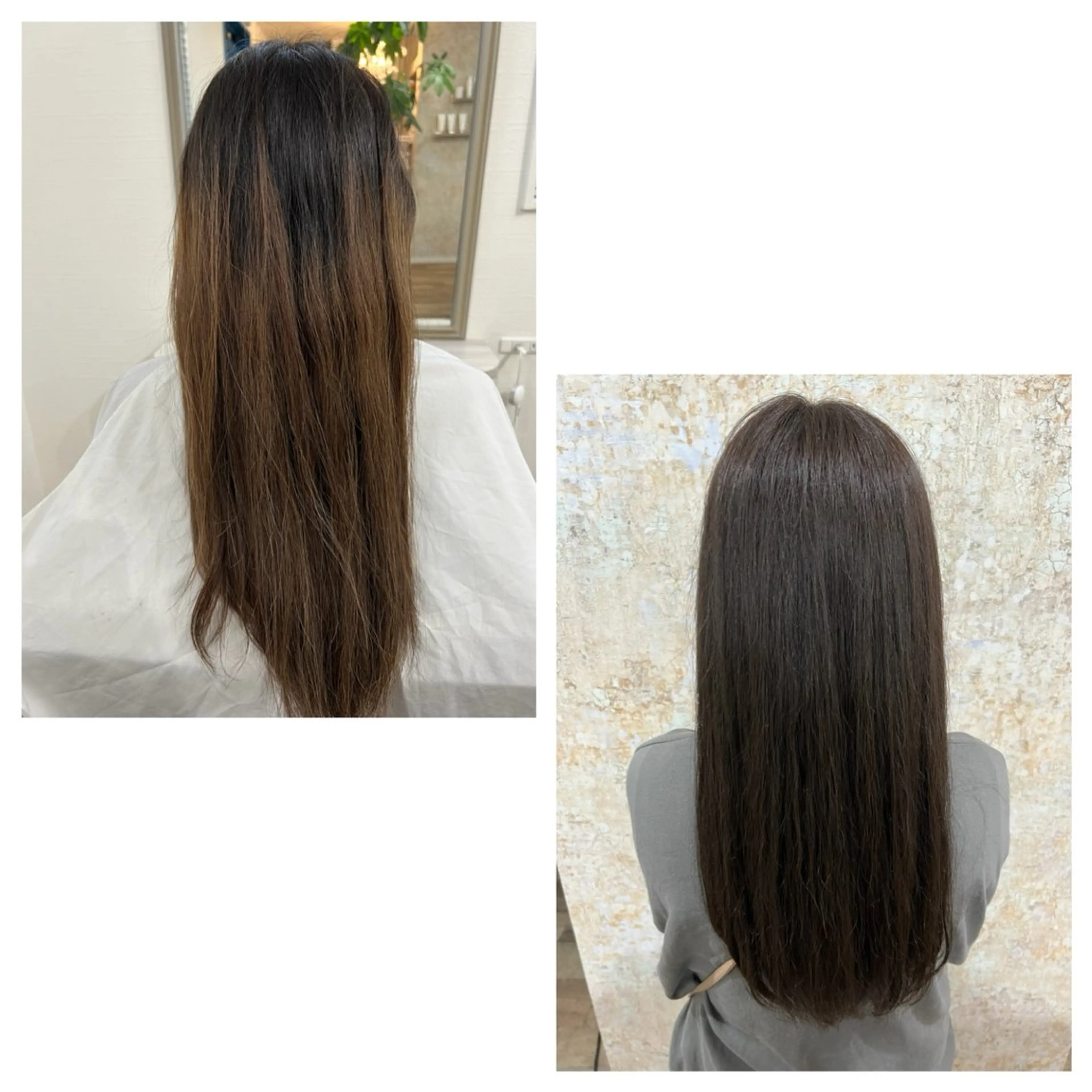 カラー ブラウンカラー 似合わせ／ショート 菊田のヘアスタイル