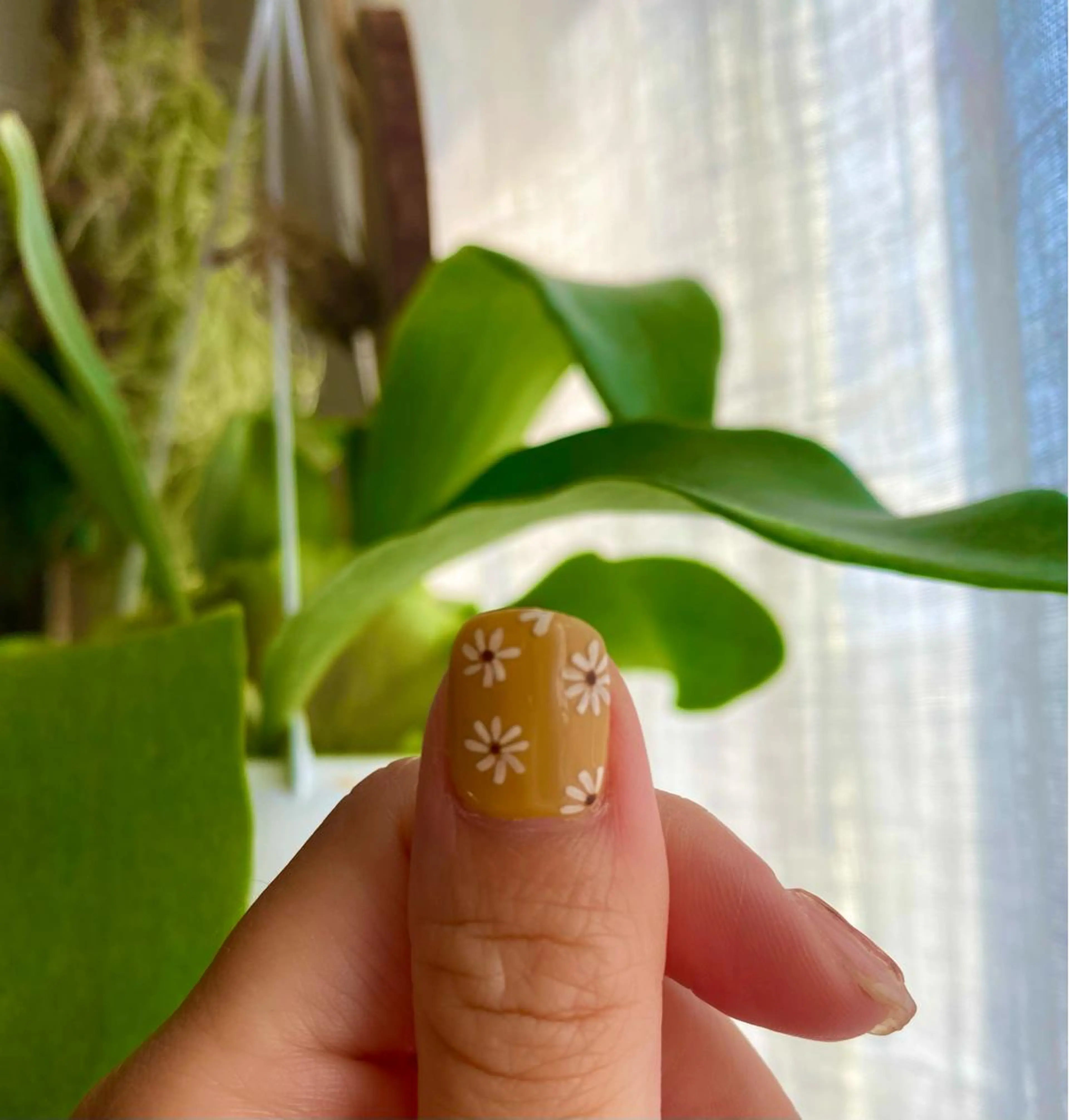 ネイル 夏ネイル ネイルサロン Lafuのネイルデザイン