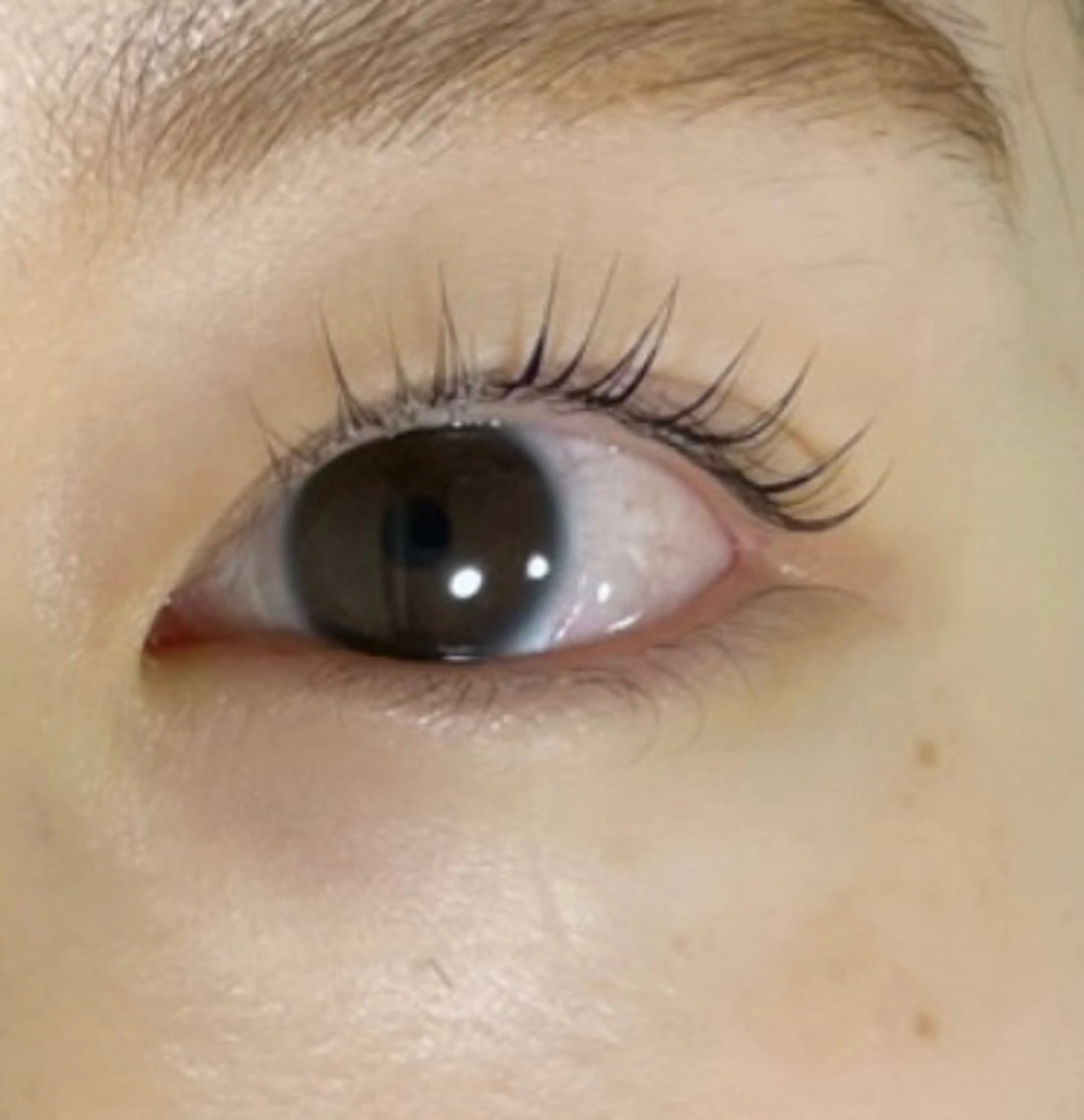 マツエク・マツパ パリジェンヌラッシュリフト マリーテレジア🤍 Suzukiのマツエク・マツパデザイン