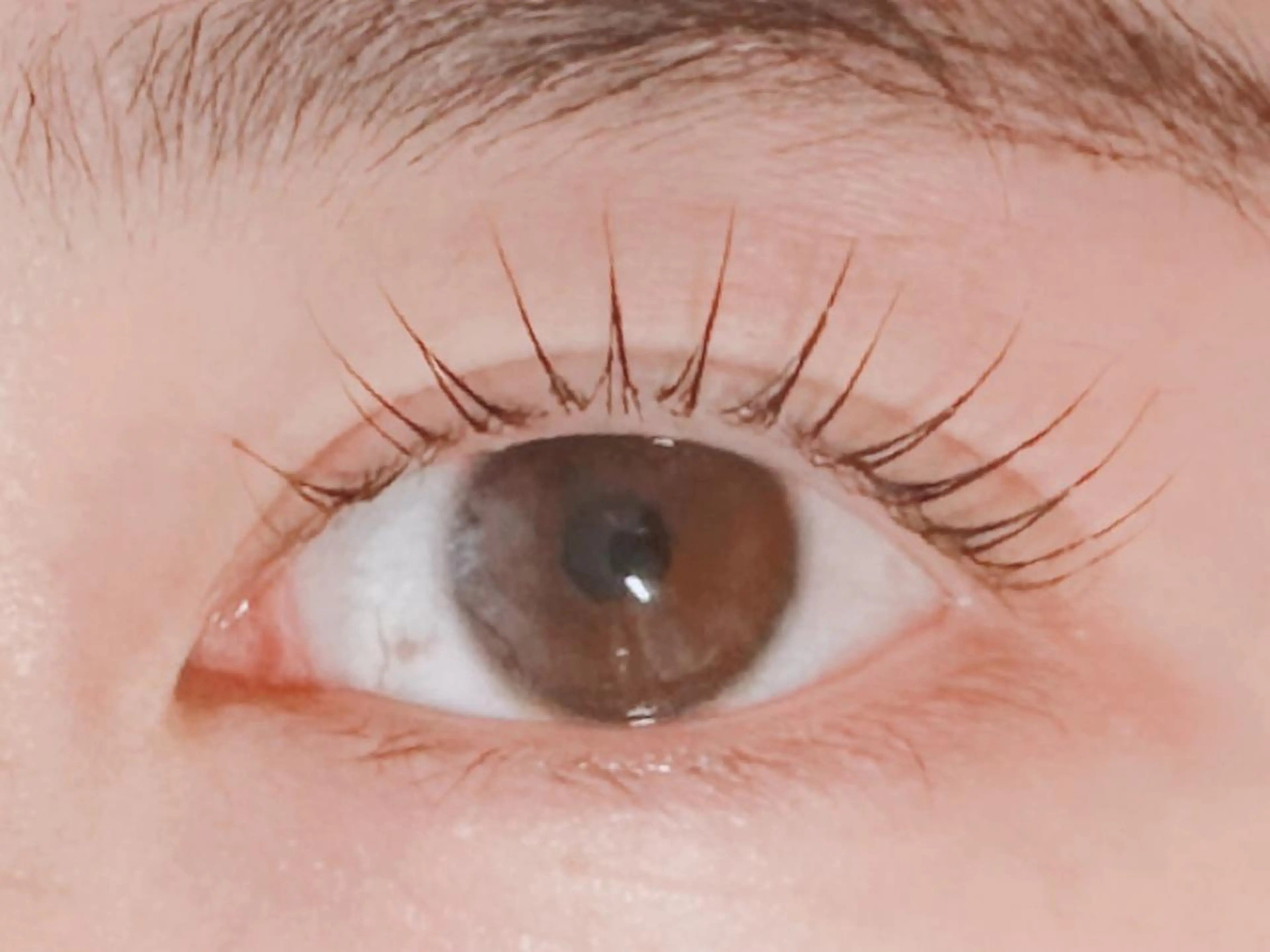 マツエク・マツパ パリジェンヌラッシュリフト マツパ 𝐉𝐎𝐋𝐈 アイリスト ❤︎のマツエク・マツパデザイン