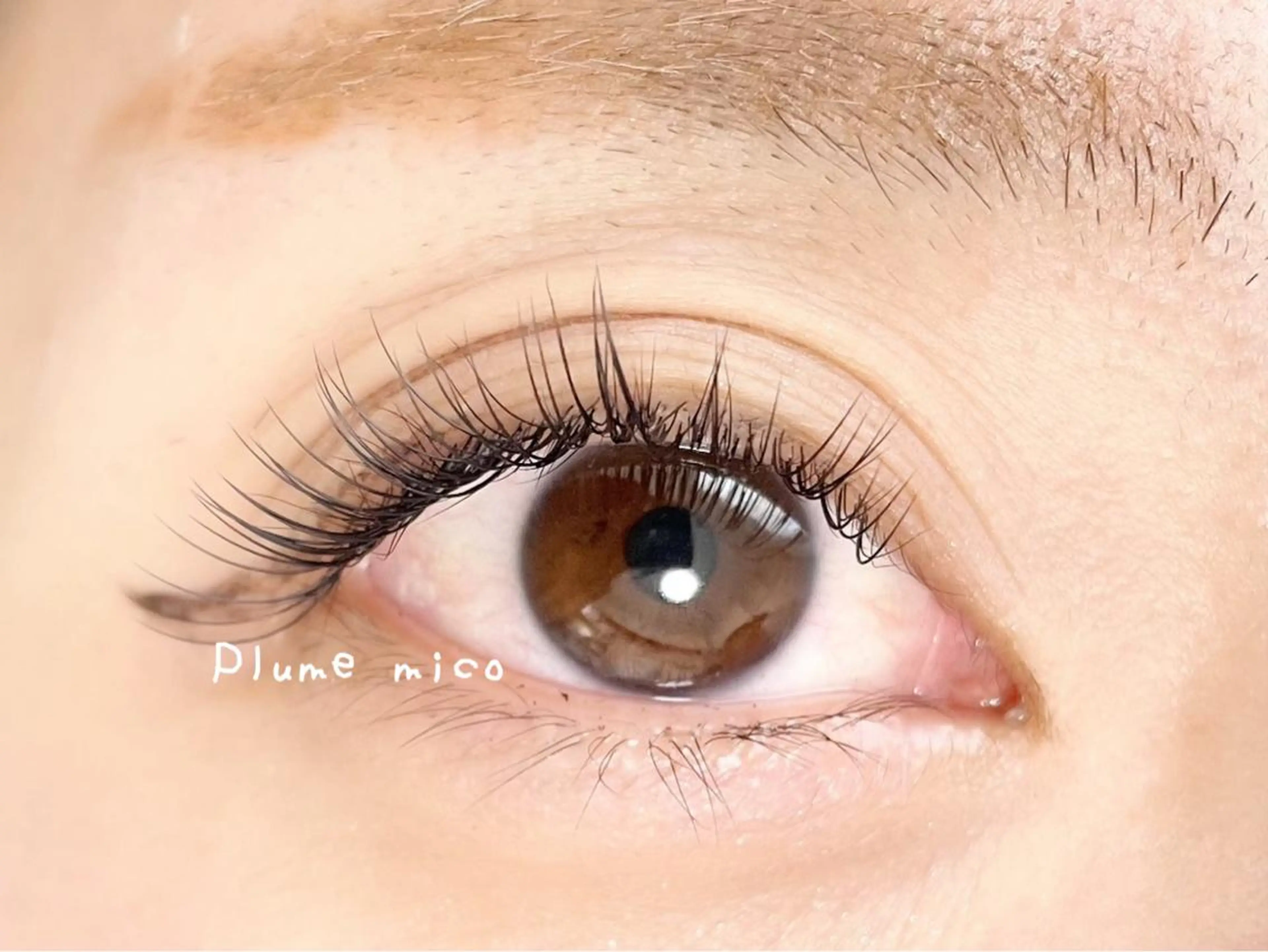 シングルラッシュ80本の写真