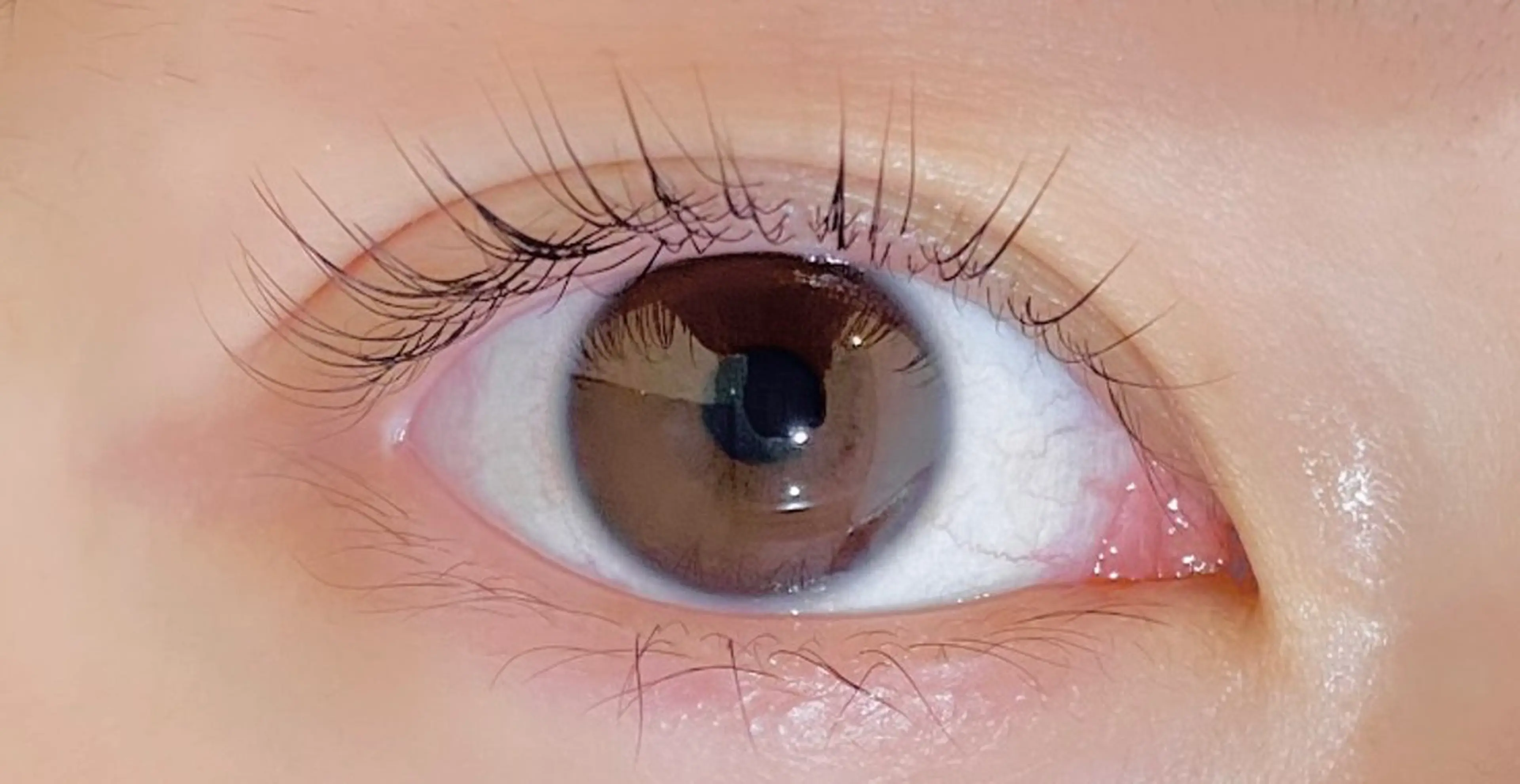 マツエク・マツパ Chipie オカモトの眉毛・アイブロウイメージ