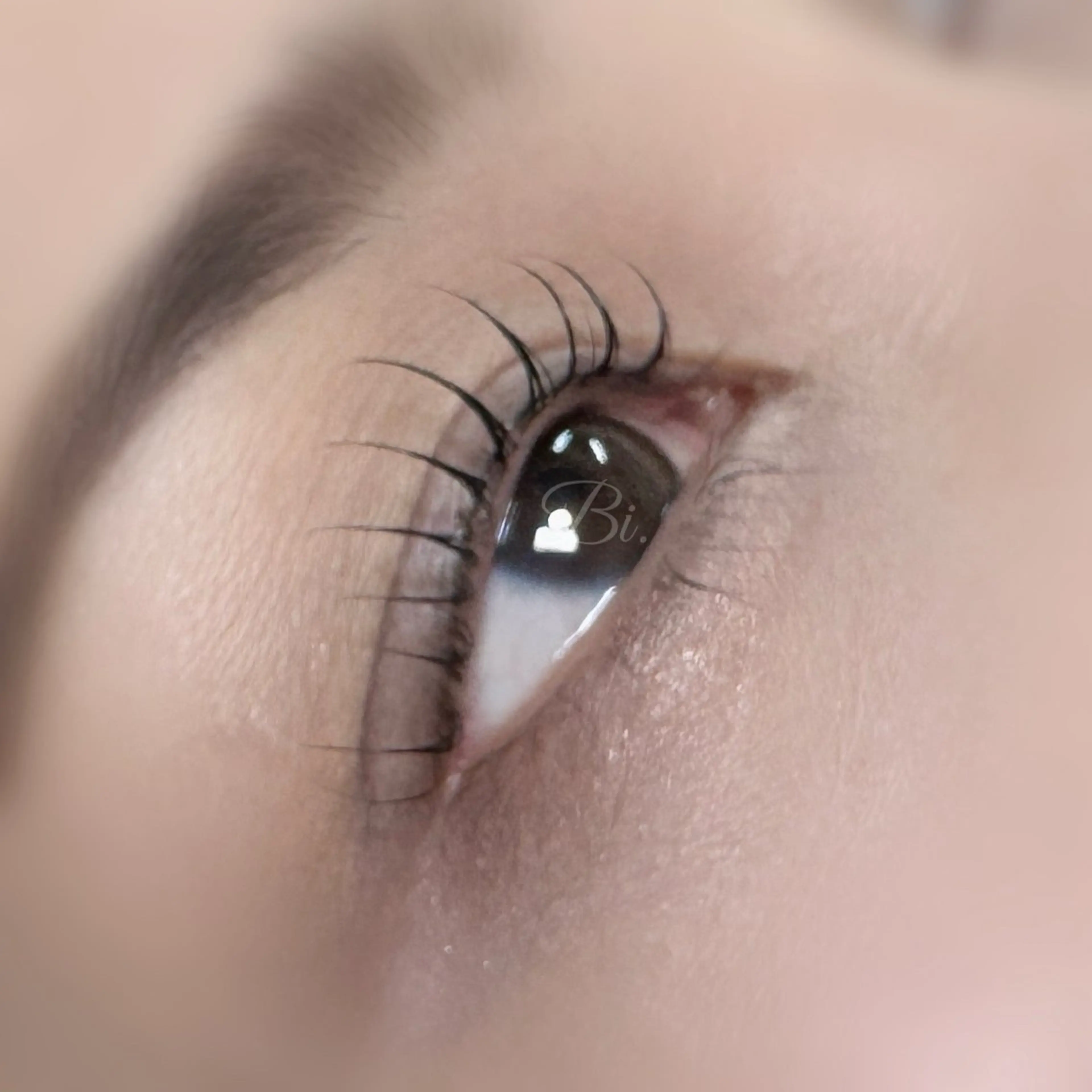 マツエク・マツパ マツパ Salon Bi. /ERIKAの眉毛・アイブロウイメージ