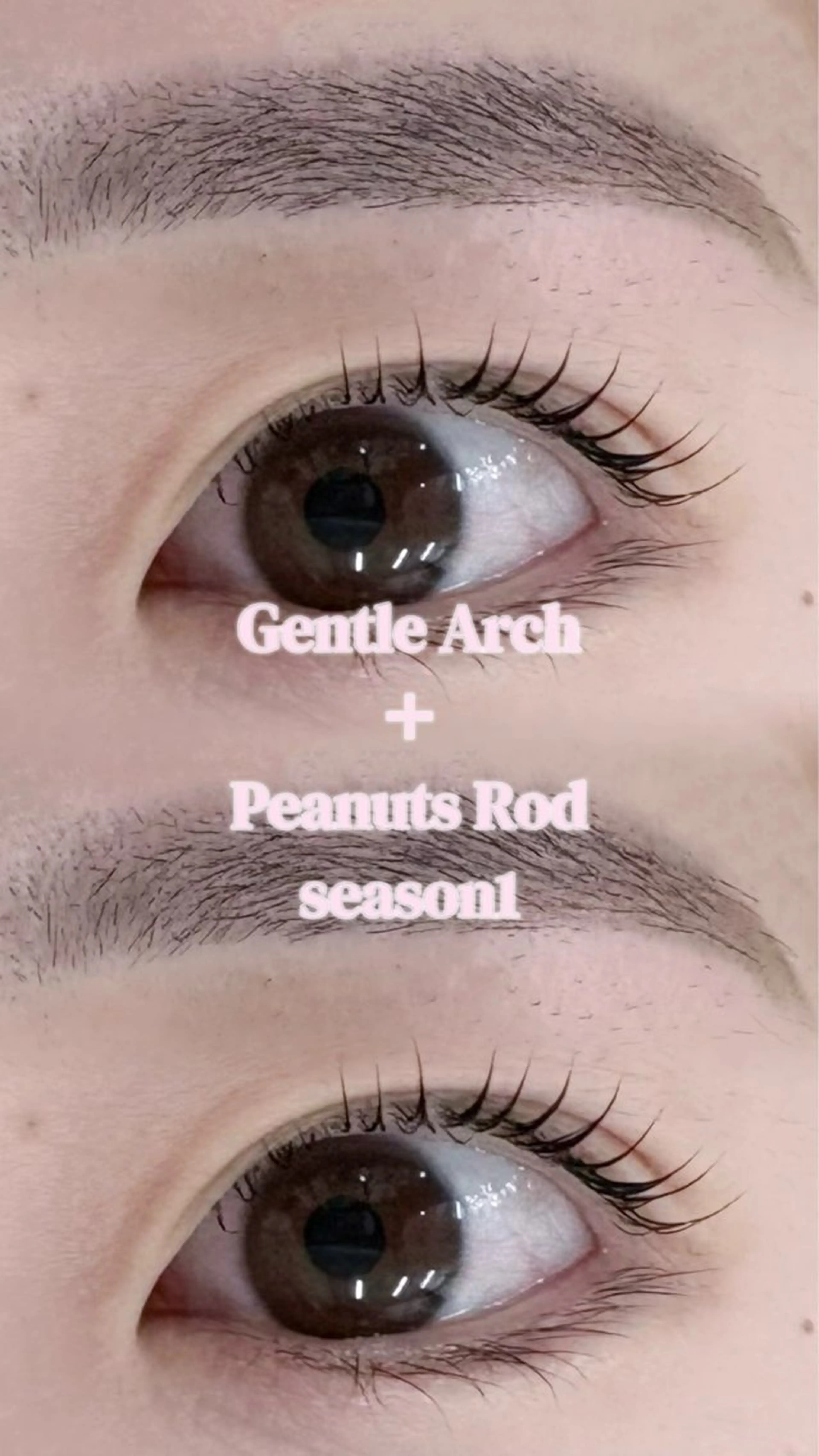 マツエク・マツパ MIROH YUZUHAのマツエク・マツパデザイン