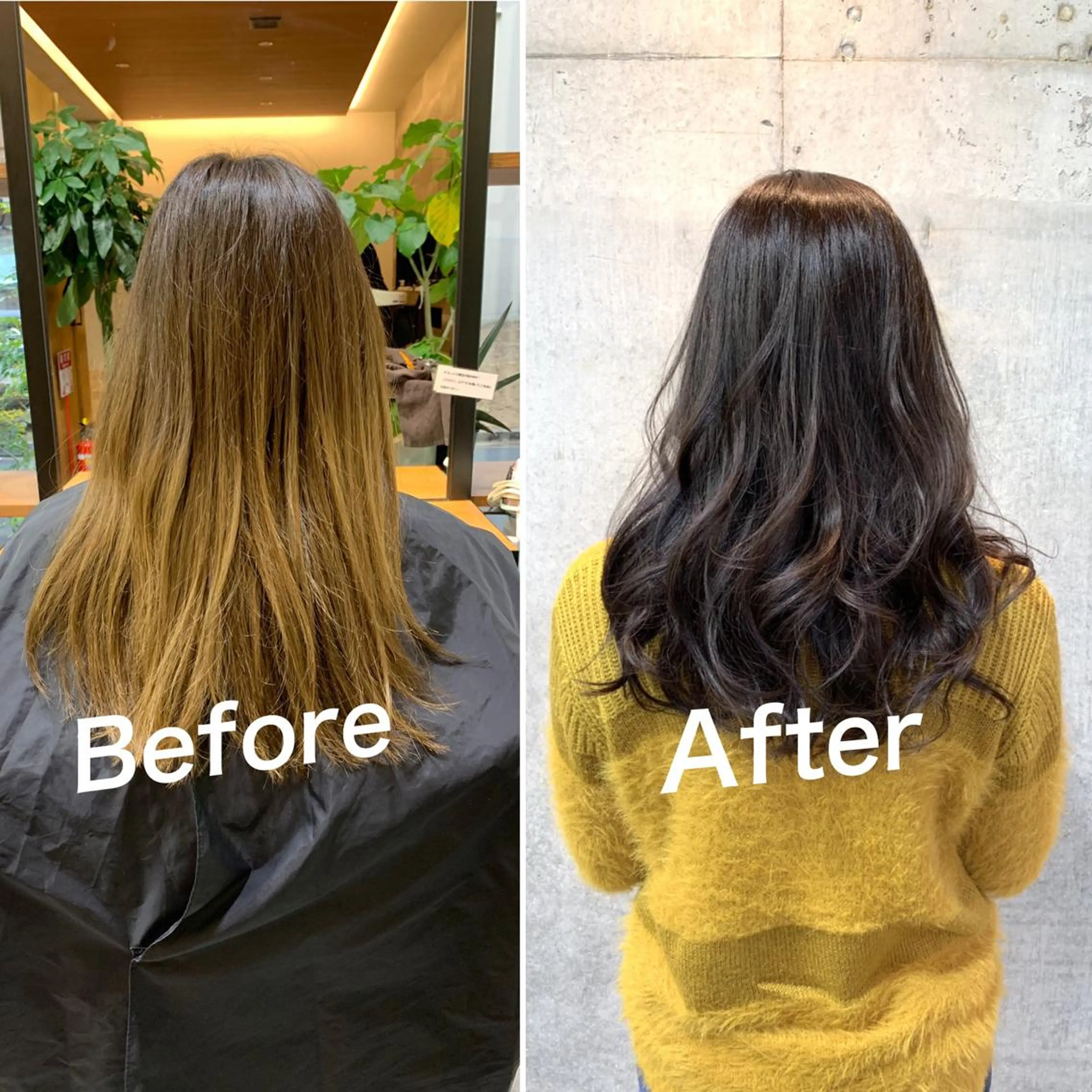 カラー カット トリートメント 佐瀬竜矢PRIMAL /portのヘアスタイル