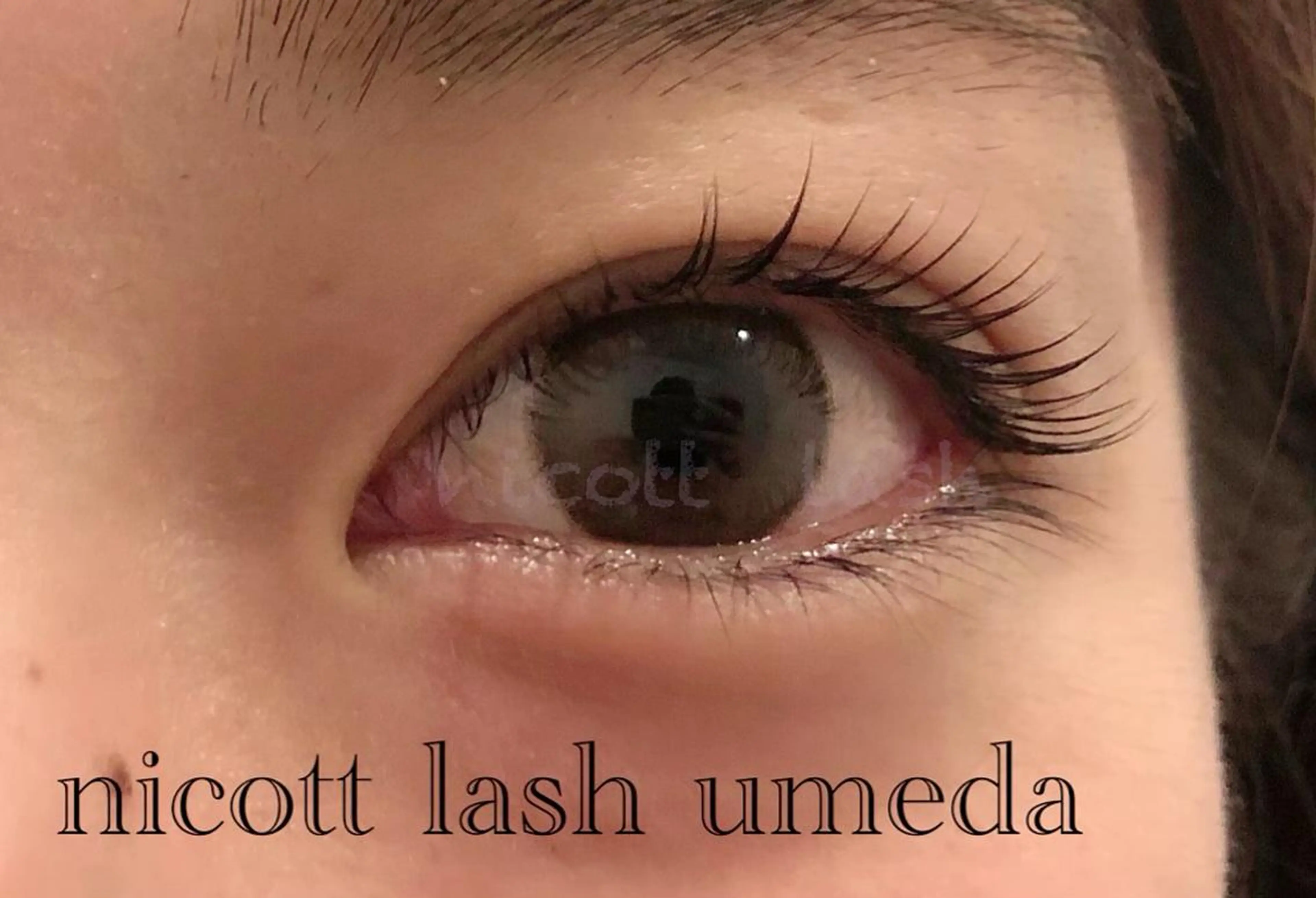 マツエク・マツパ 一重×まつ毛パーマ サクラブロウ 難波のマツエク・マツパデザイン