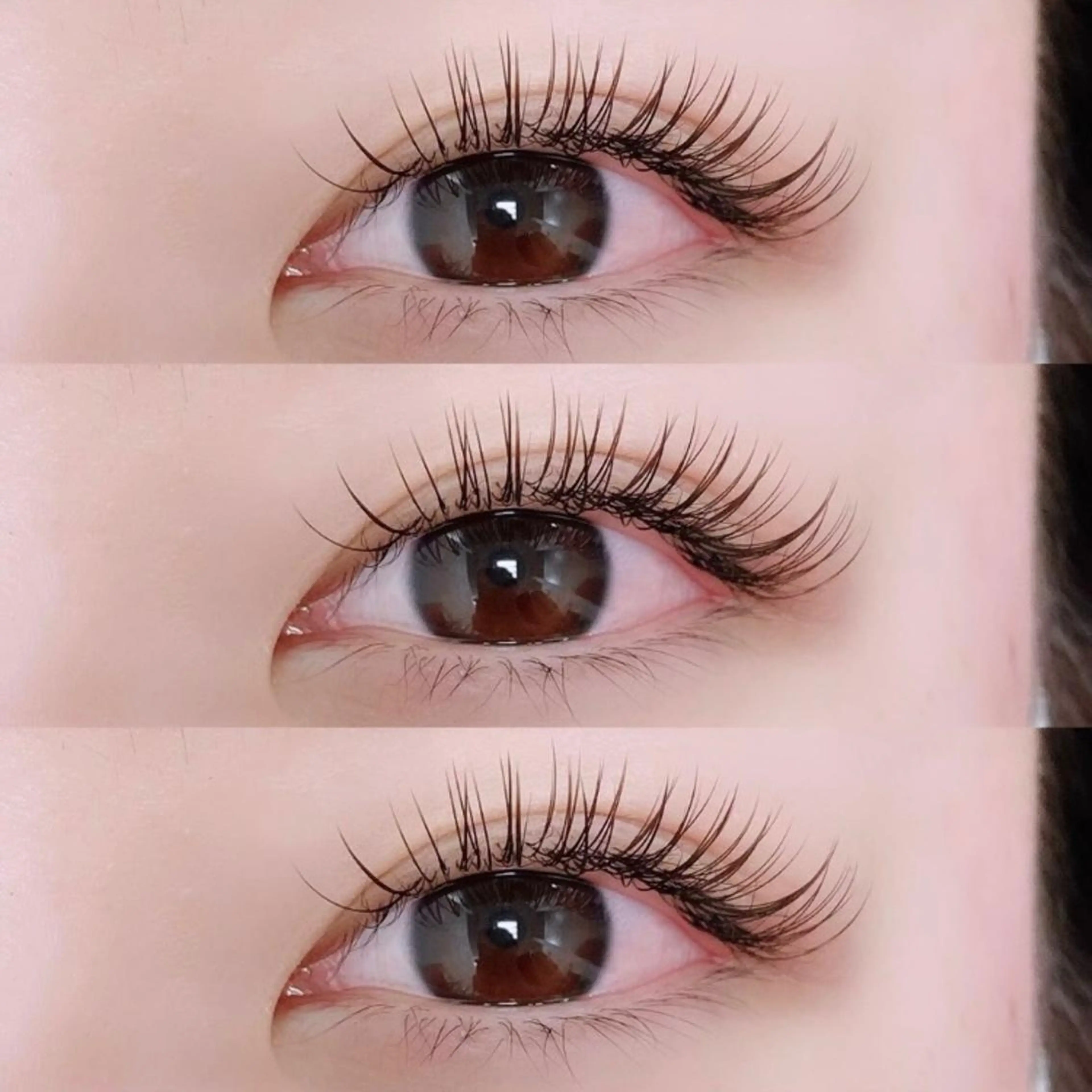 マツエク・マツパ 束感/LED/まつパ 🌼segawaのマツエク・マツパデザイン