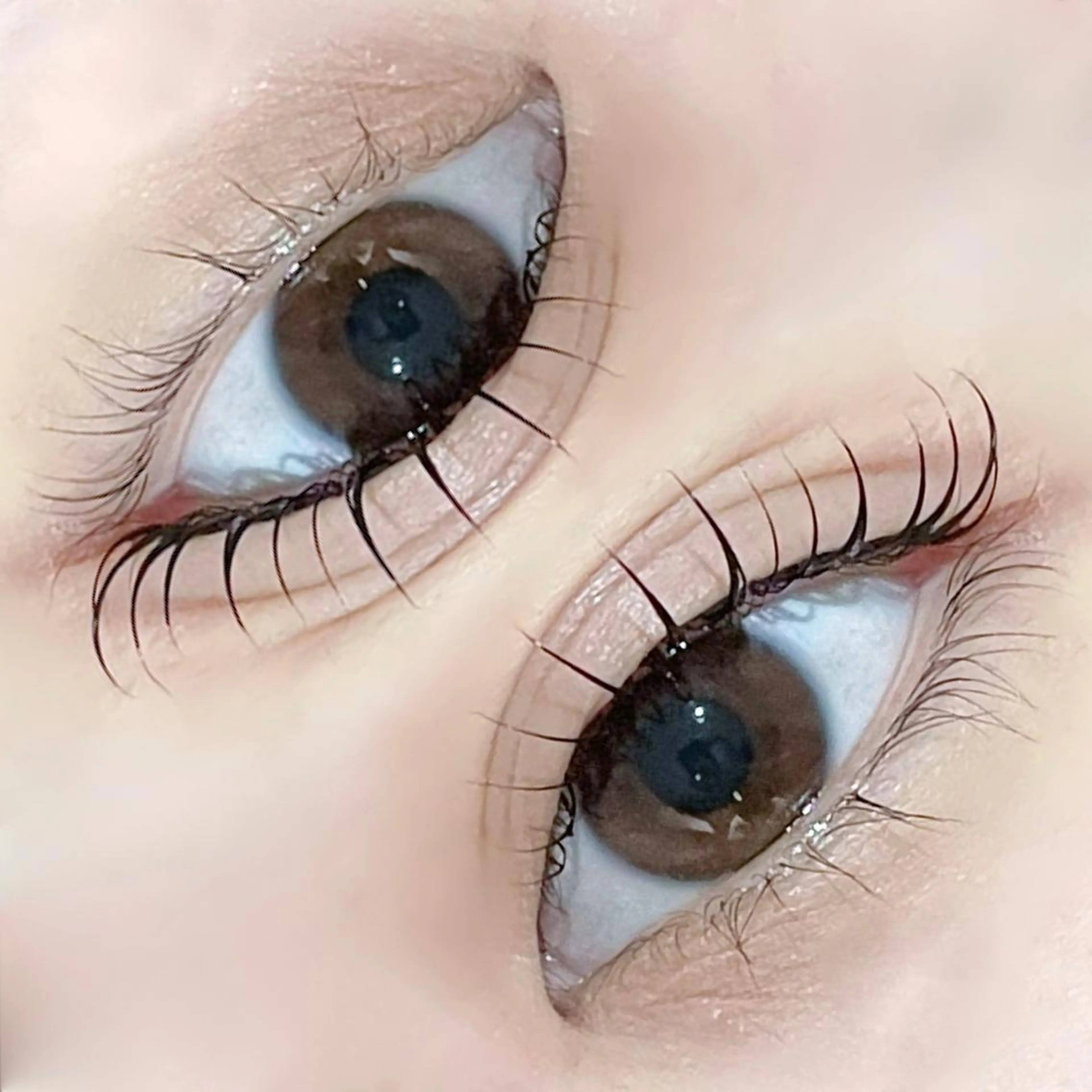 マツエク・マツパ マツパ 京橋/大阪/ 束感マツエク/マツパのマツエク・マツパデザイン