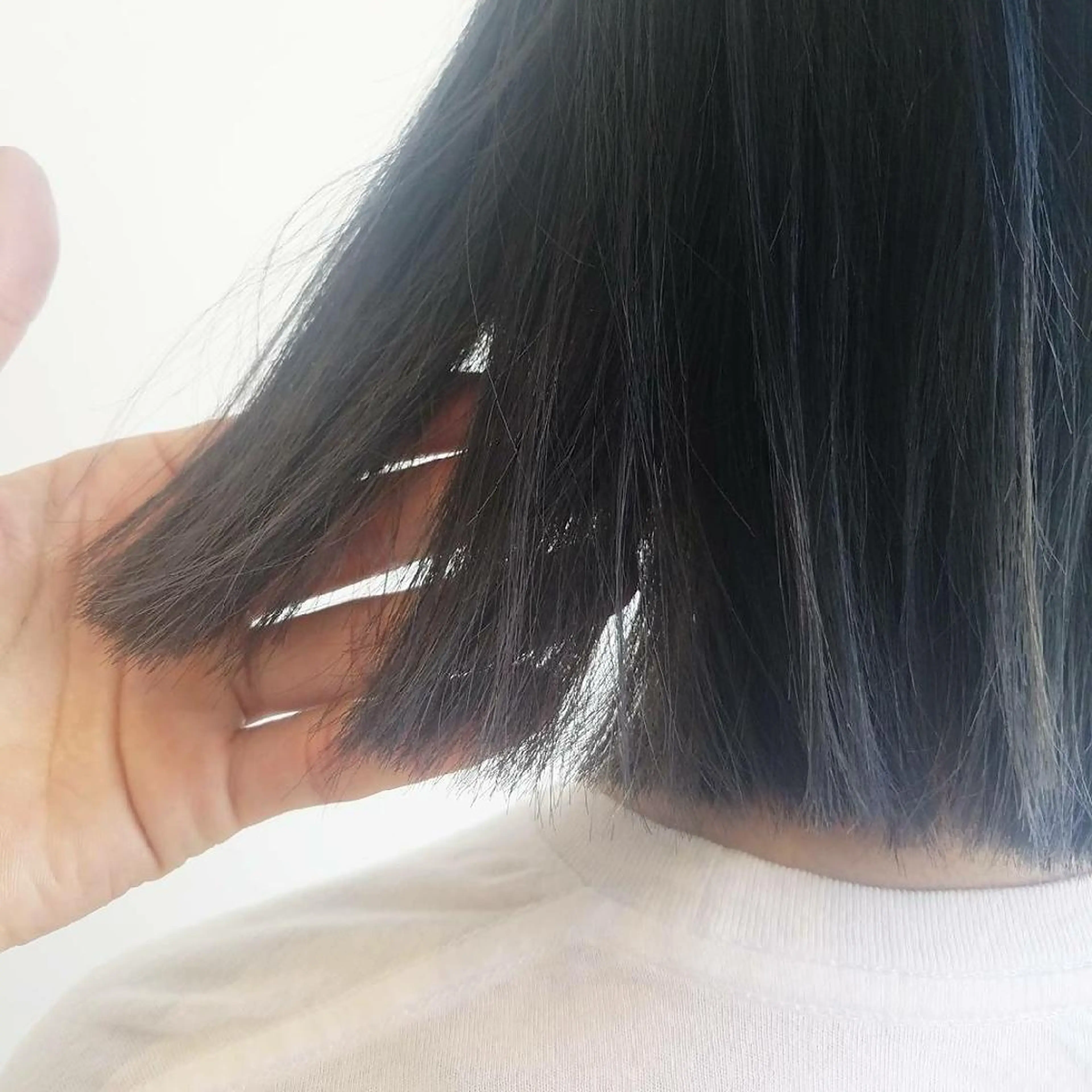 ショート カラー ブルーカラー ブルージュ iplus まつげ、眉毛、耳つぼのマツエク・マツパデザイン