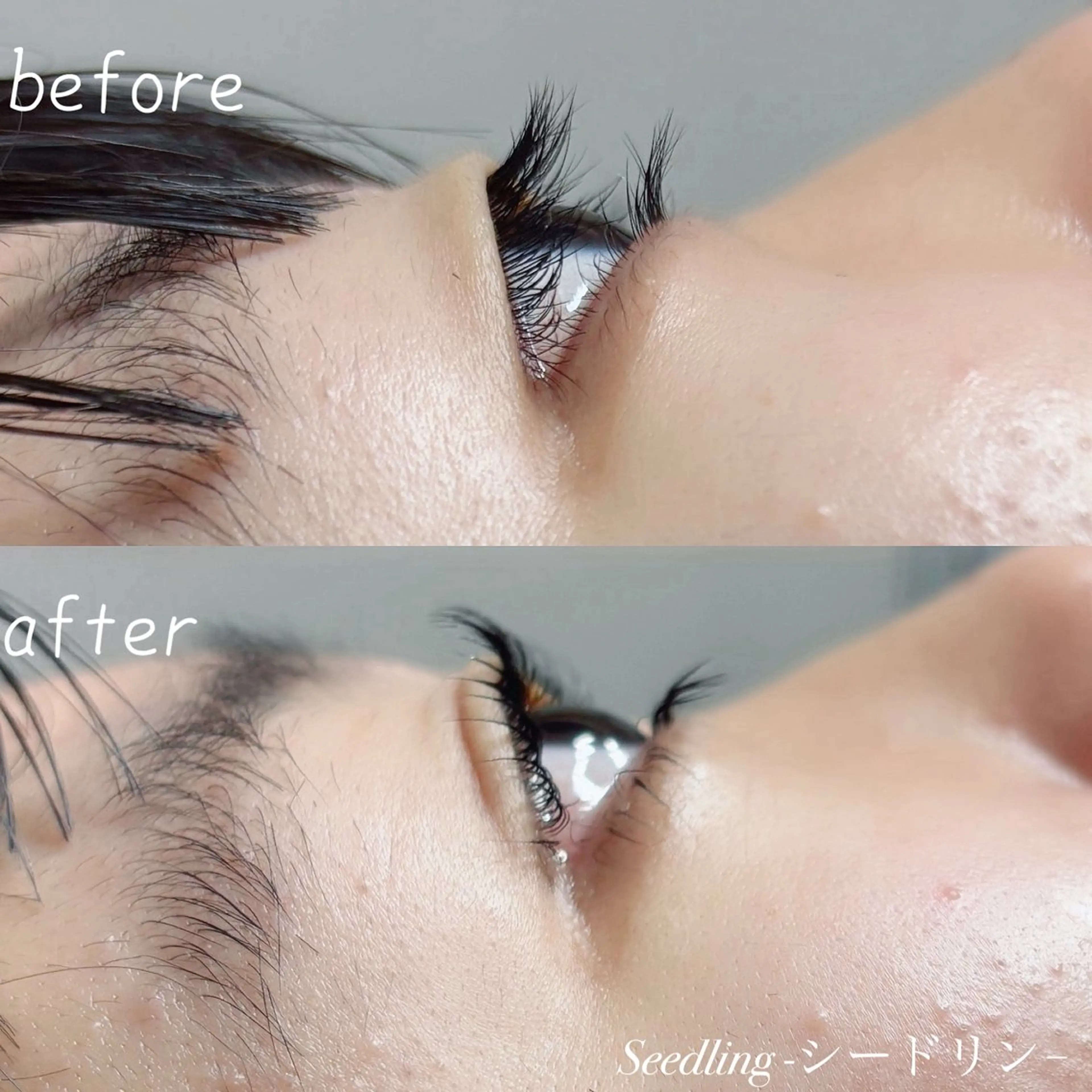 マツエク・マツパ 一重×まつ毛パーマ シードリン 府内店 小野梨央のマツエク・マツパデザイン