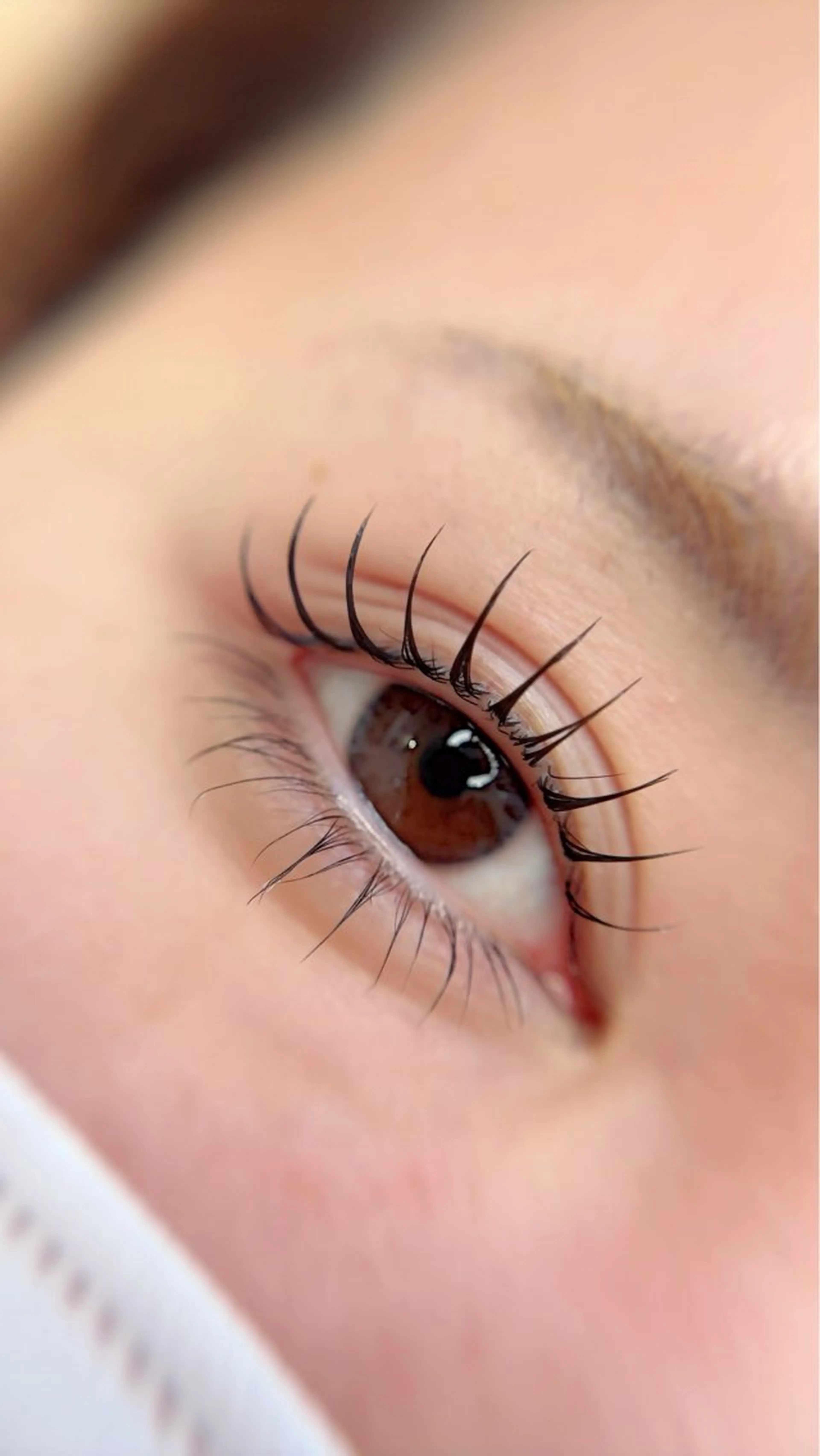 マツエク・マツパ マツパ Maile leaf 【マイレリーフ】のマツエク・マツパデザイン