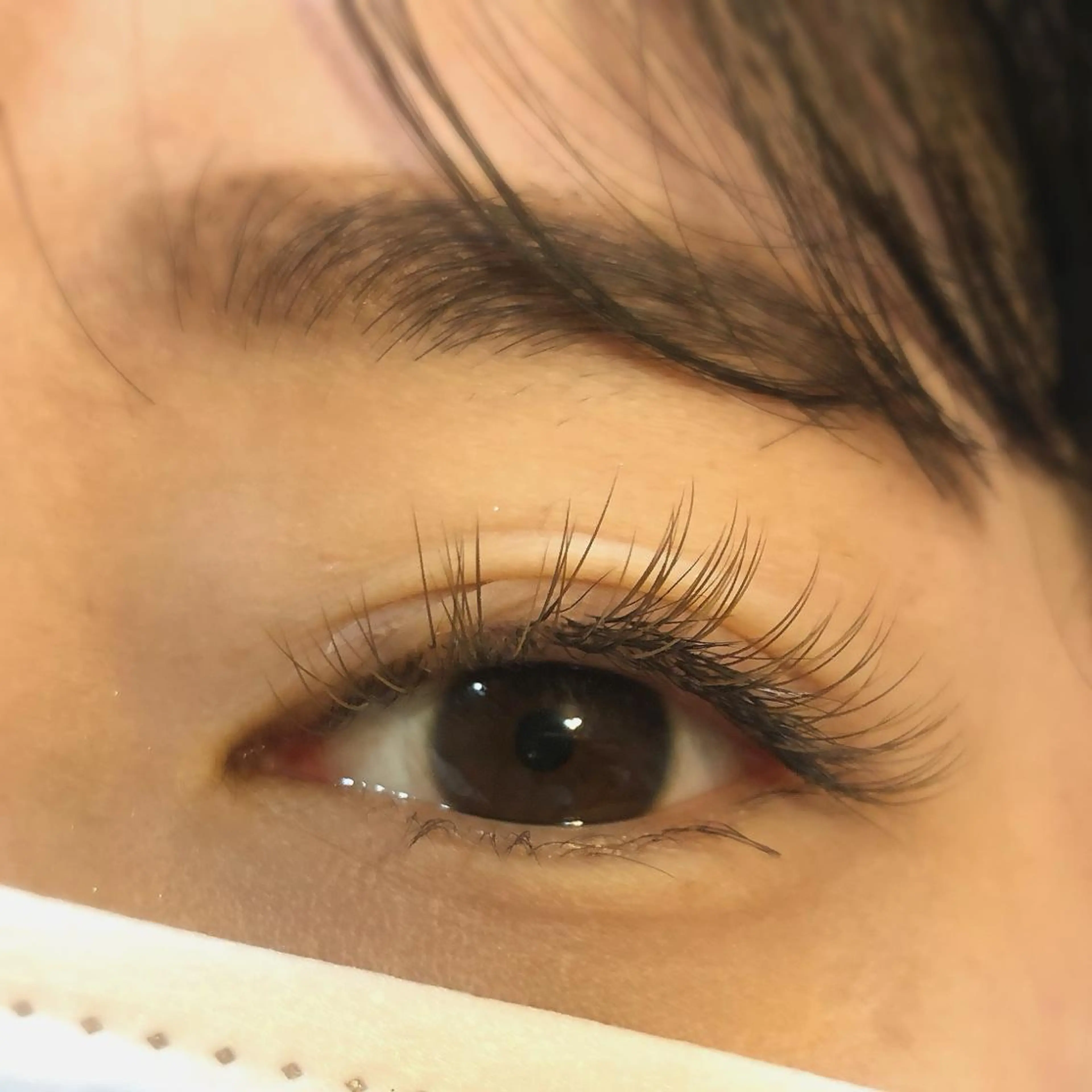 マツエク・マツパ b r o t e .　m o eの眉毛・アイブロウイメージ