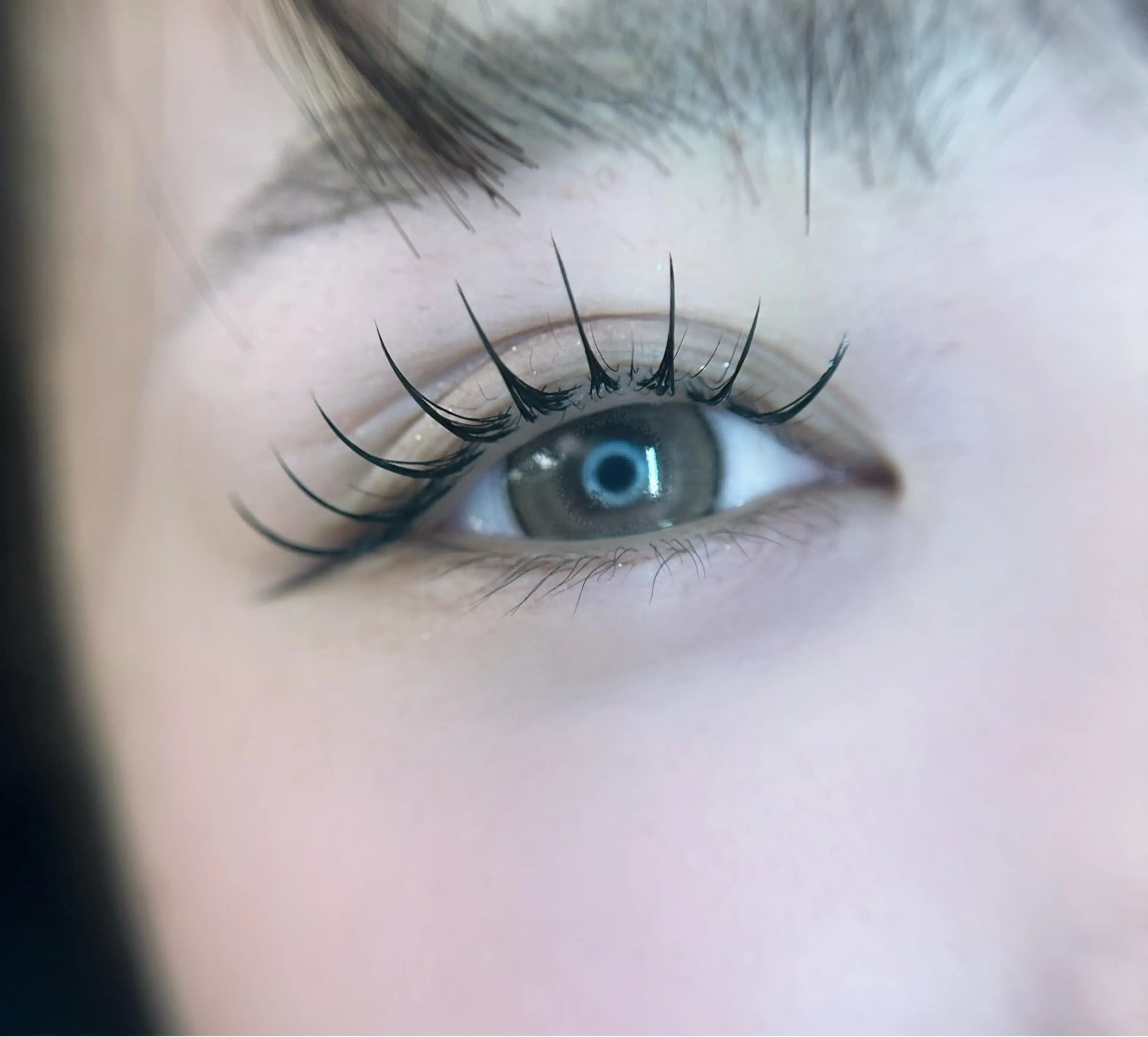 マツエク・マツパ マツエク 🎀eyelist. mizuki🐈‍⬛の眉毛・アイブロウイメージ