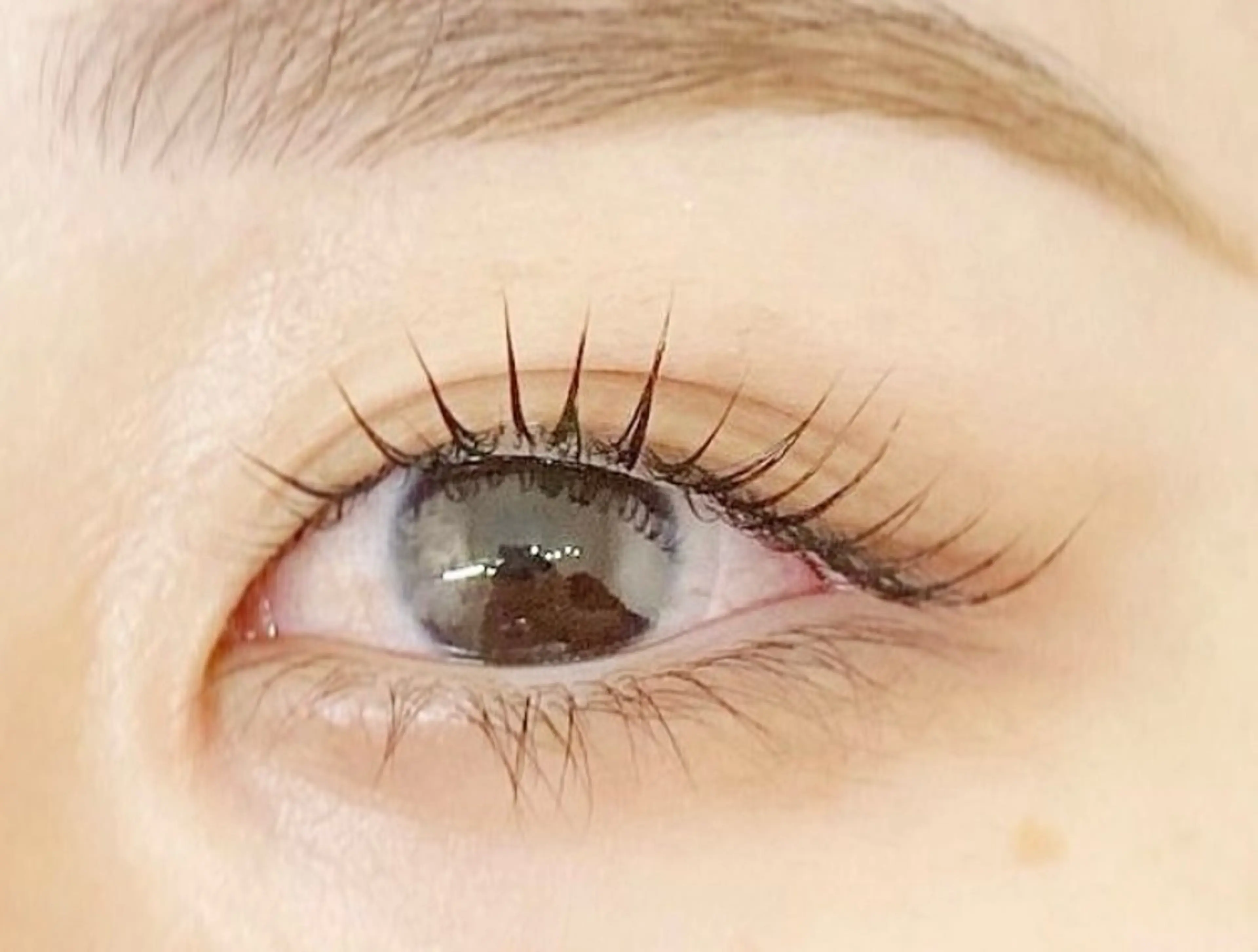 マツエク・マツパ マツパ salon de Luluのマツエク・マツパデザイン