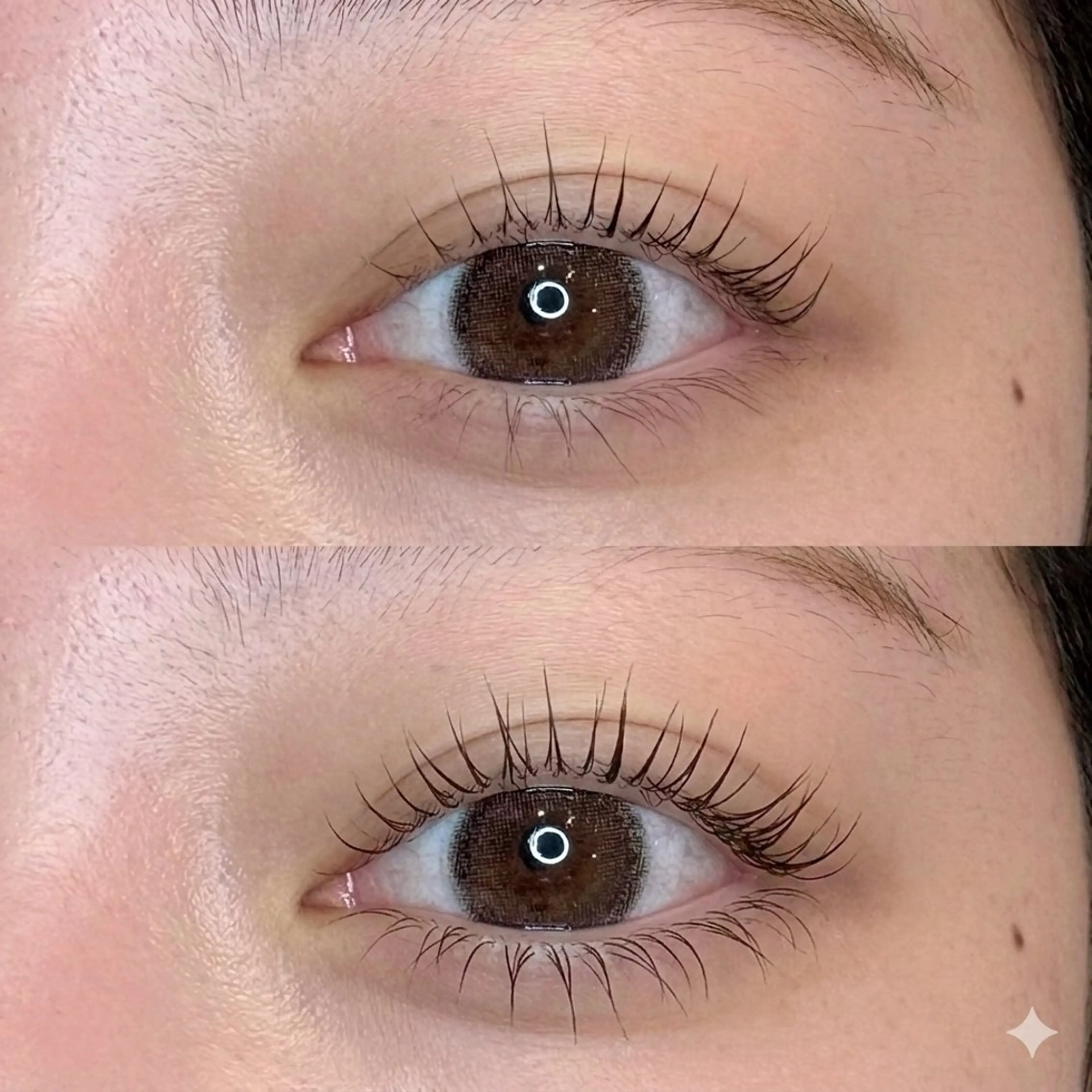 🌟オープン記念価格🌟次世代的まつ毛パーマ【下】👀🎯の写真