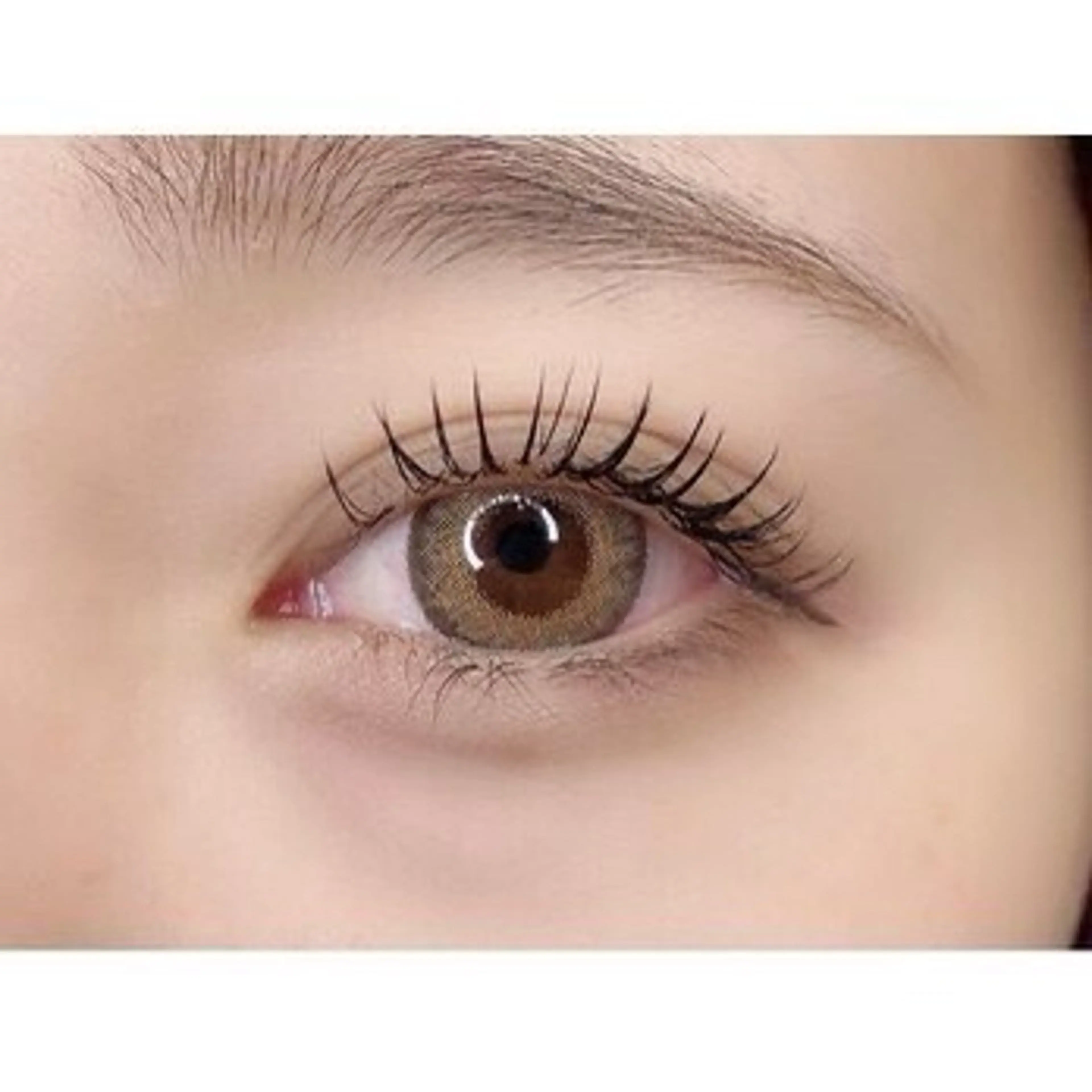 🖤パリジェンヌラッシュリフト🖤オフありの写真