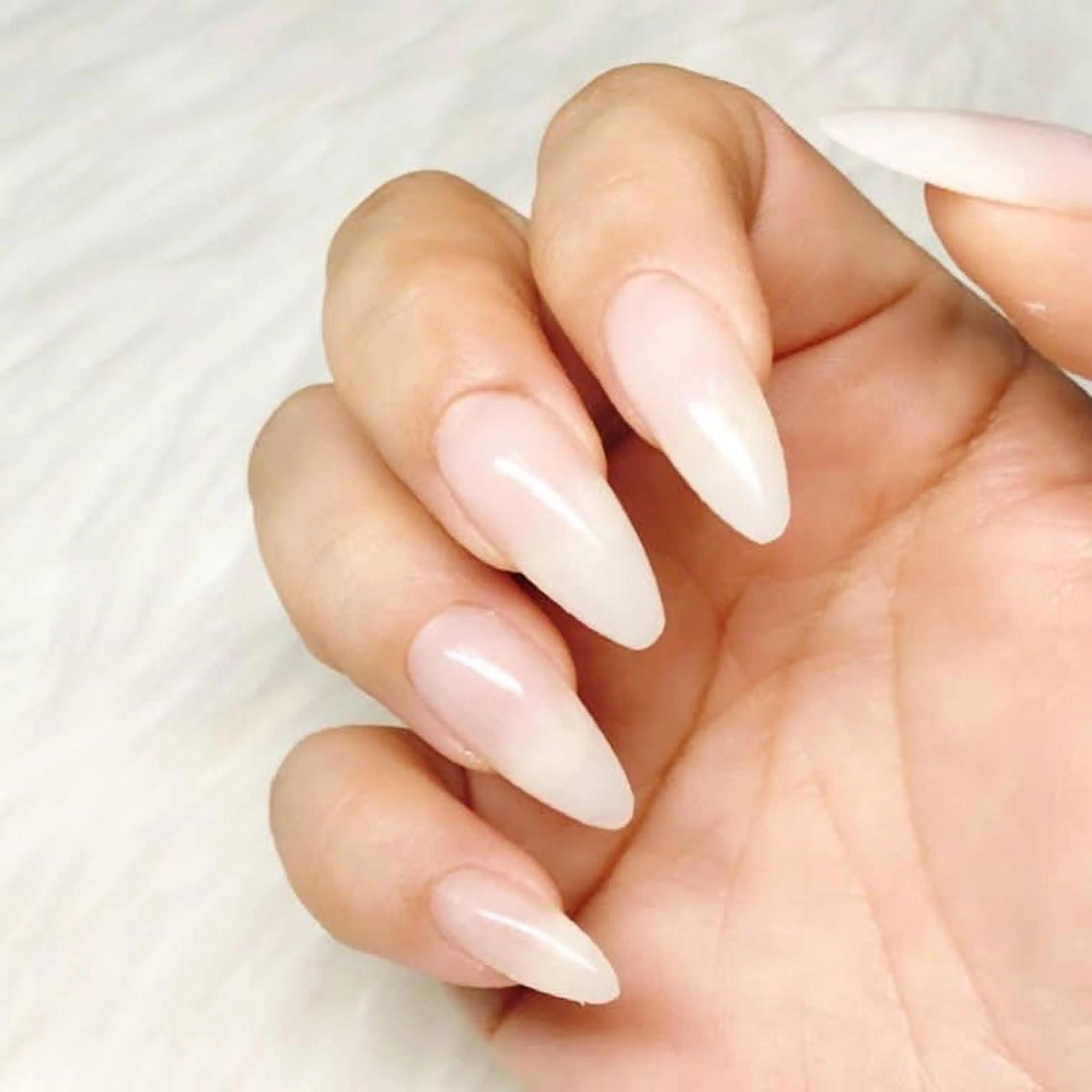ネイル ホワイト VIOLA .nailのネイルデザイン