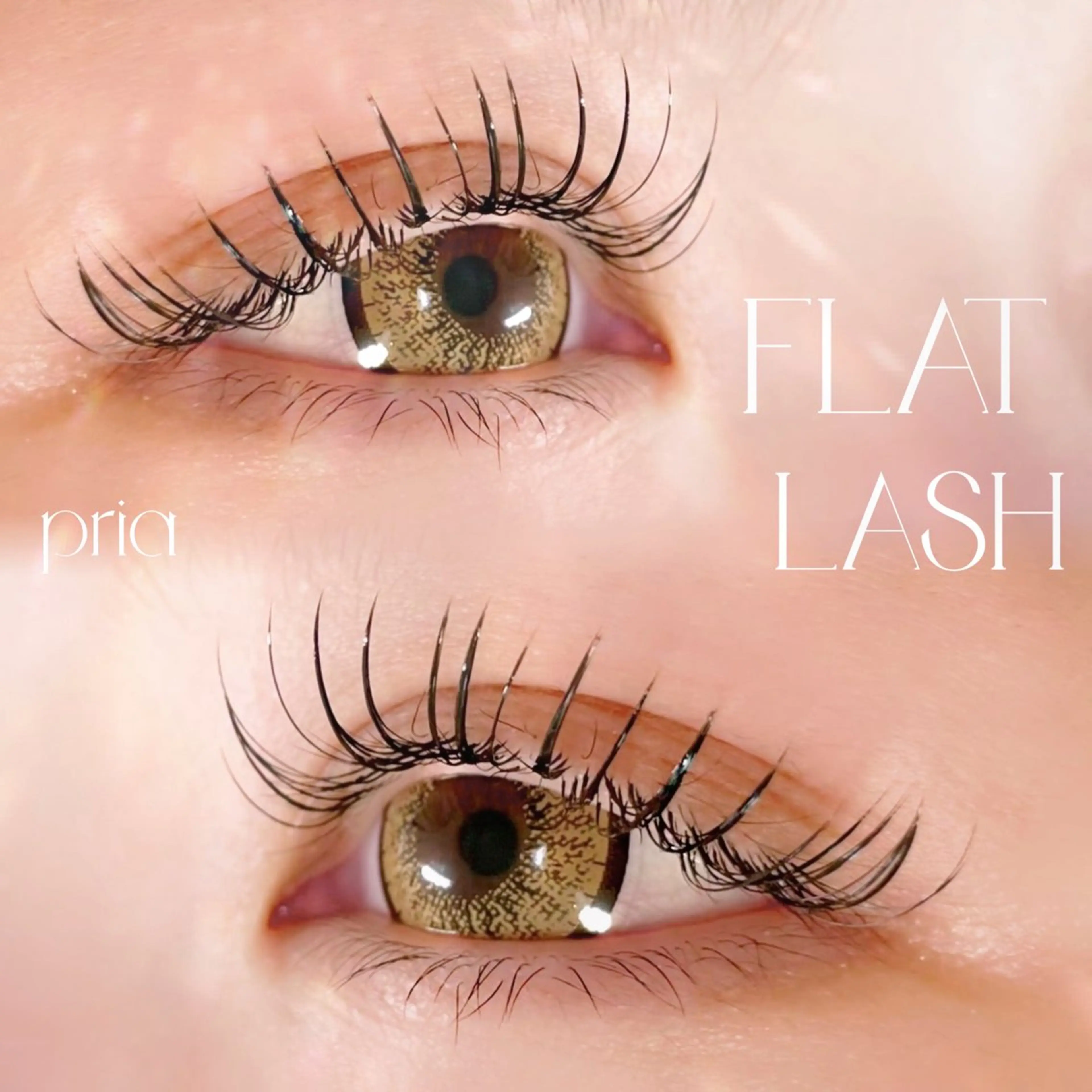 マツエク・マツパ pria【プリア】 yukiのマツエク・マツパデザイン