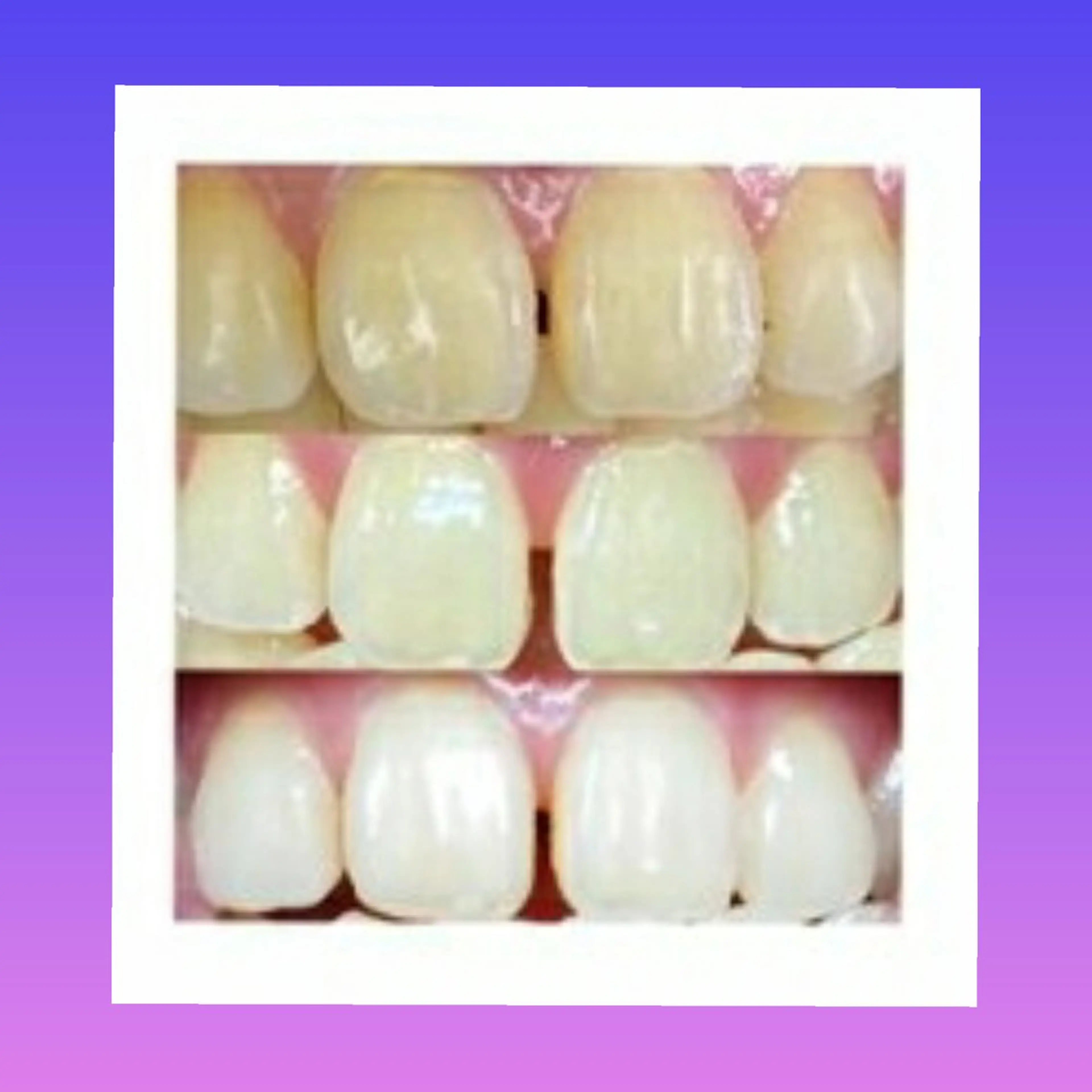 その他 五十嵐 蓮のその他イメージ