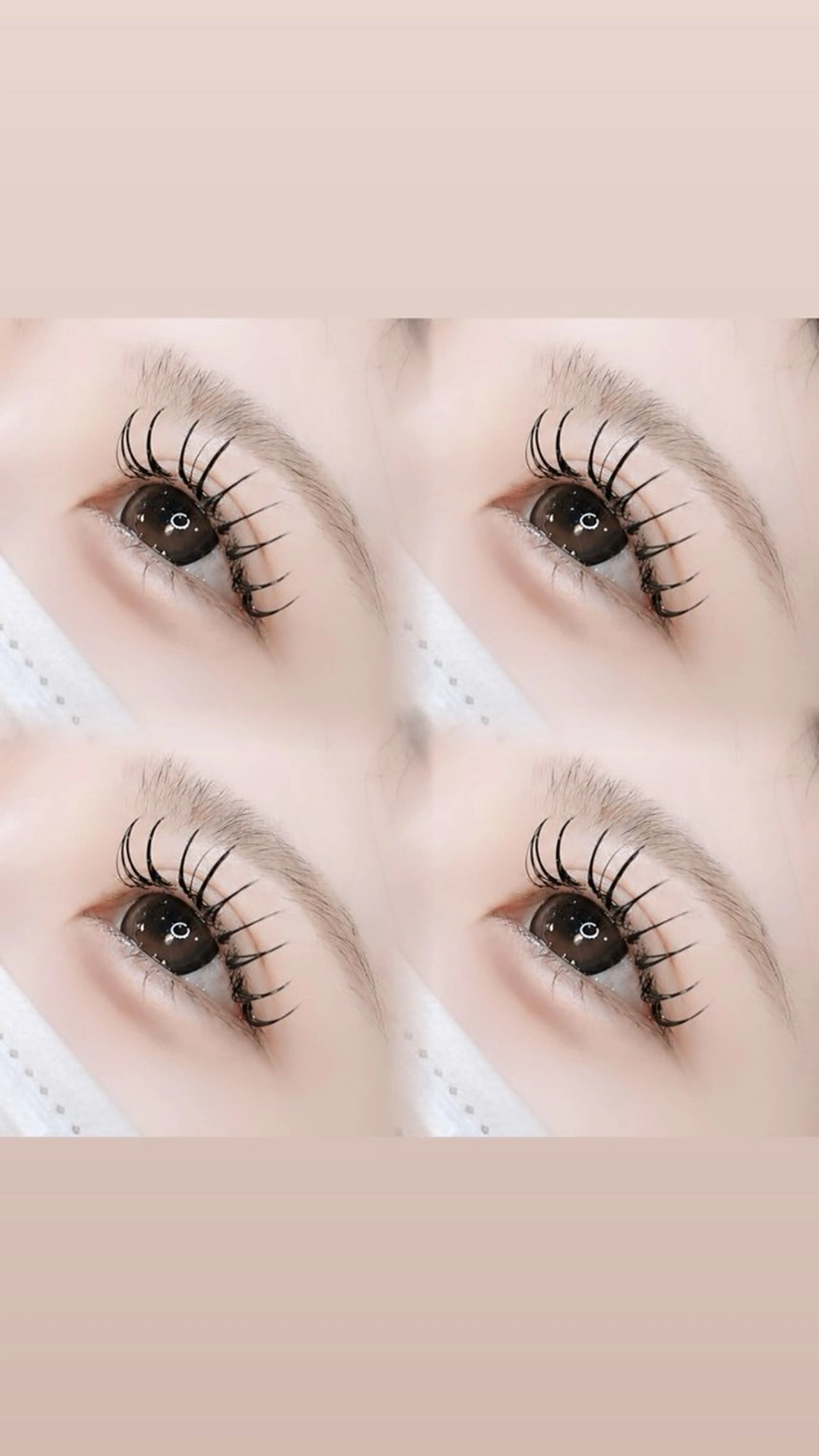 マツエク・マツパ Dカール フラットラッシュ OLIVIA 松本のマツエク・マツパデザイン