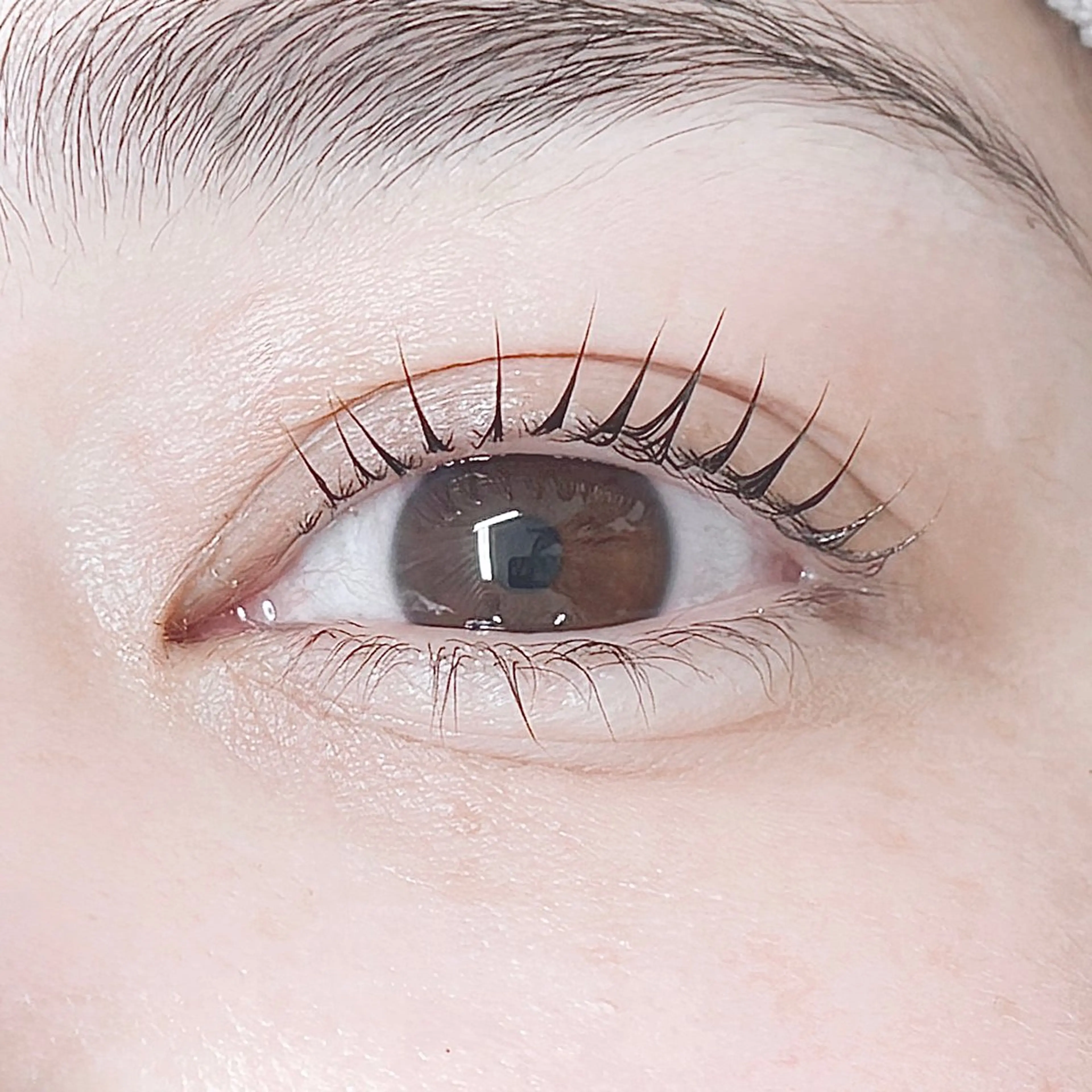 マツエク・マツパ パリジェンヌラッシュリフト Levia  砺波店 /noriのマツエク・マツパデザイン