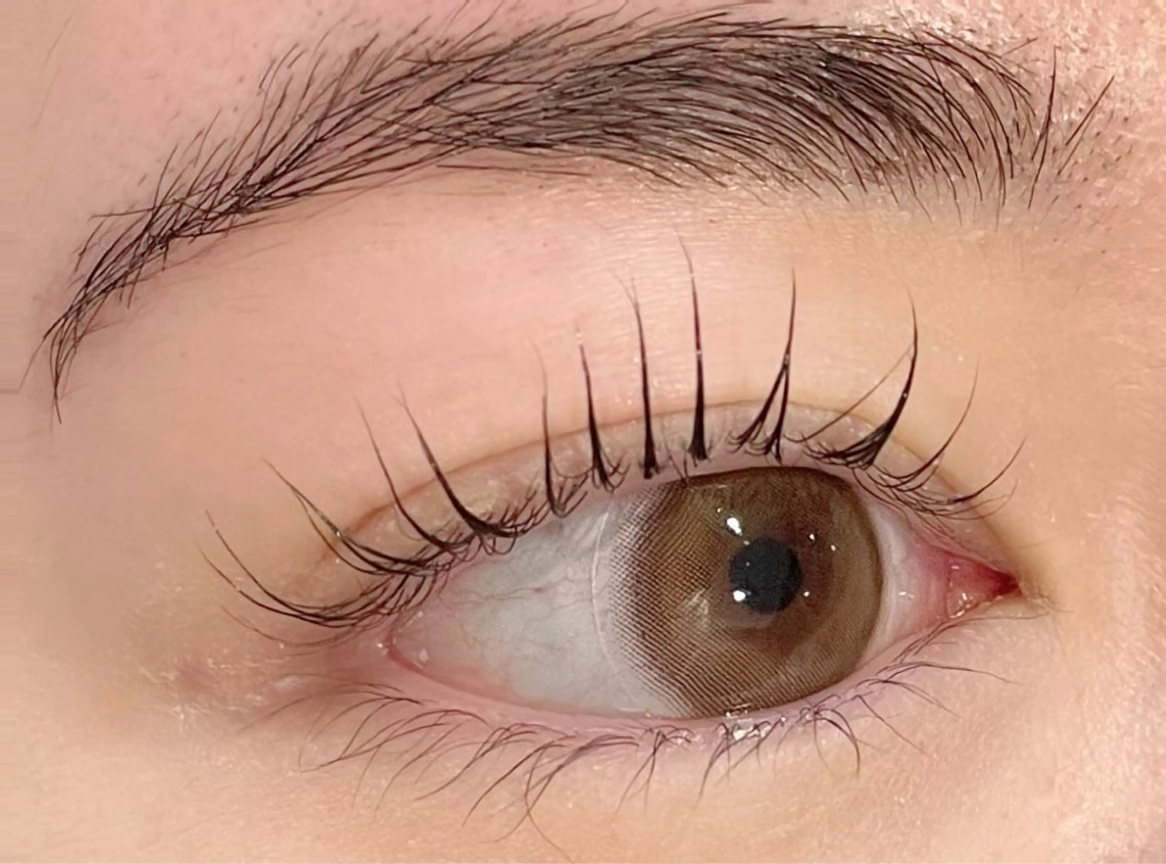 マツエク・マツパ マツパ 🦋Carina荻窪 kazumi🦋のマツエク・マツパデザイン