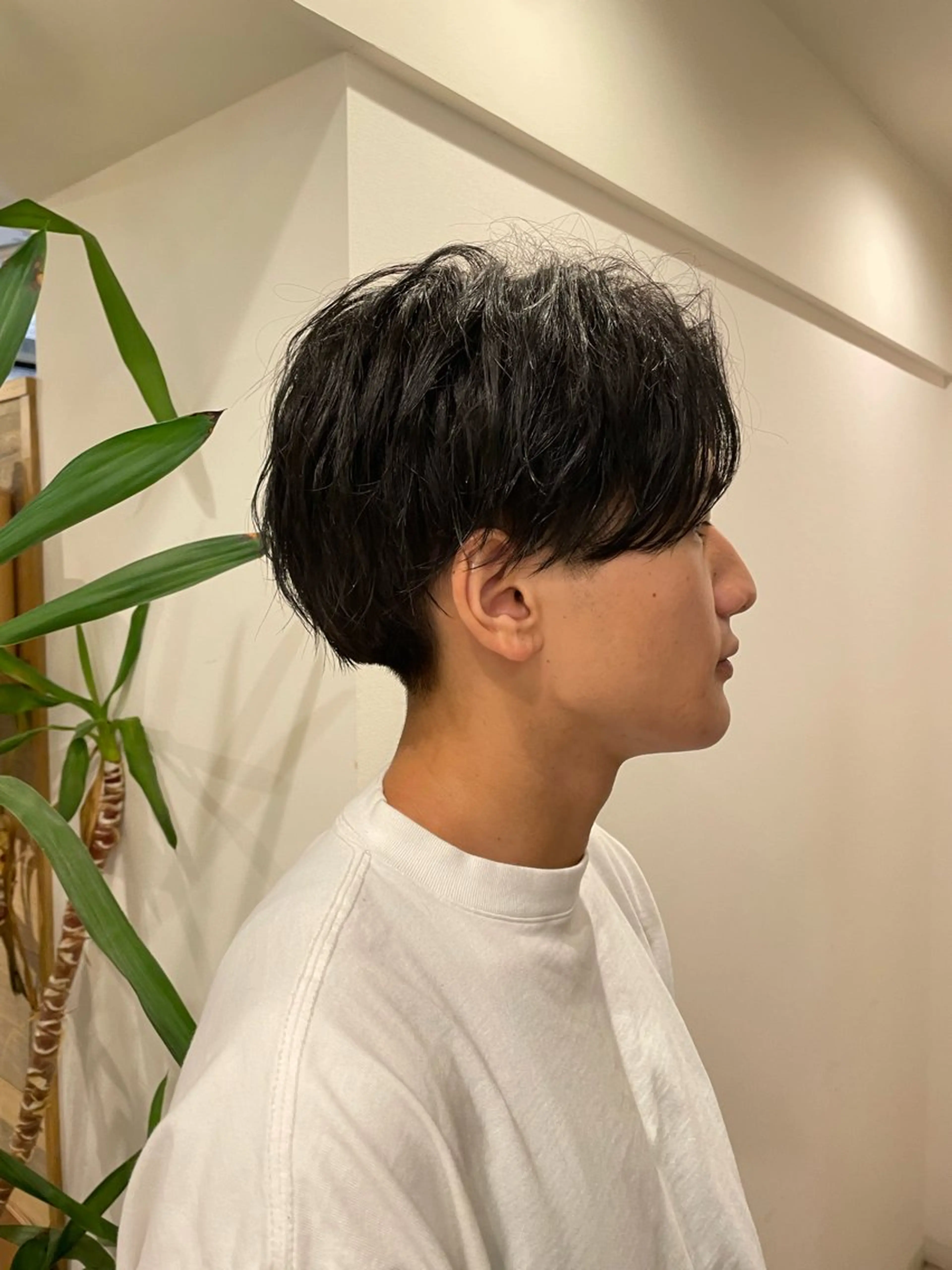 メンズカットの写真