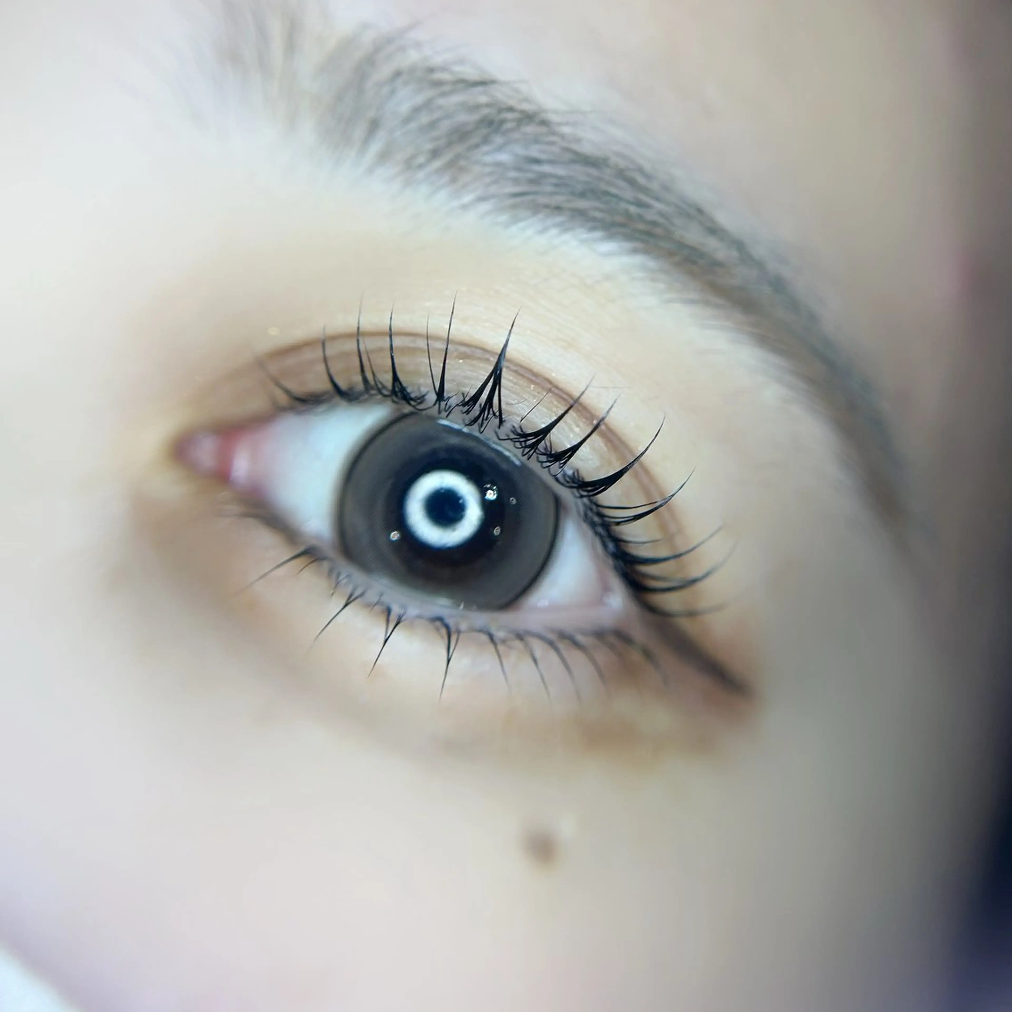 💕上下ラッシュリフト💕の写真