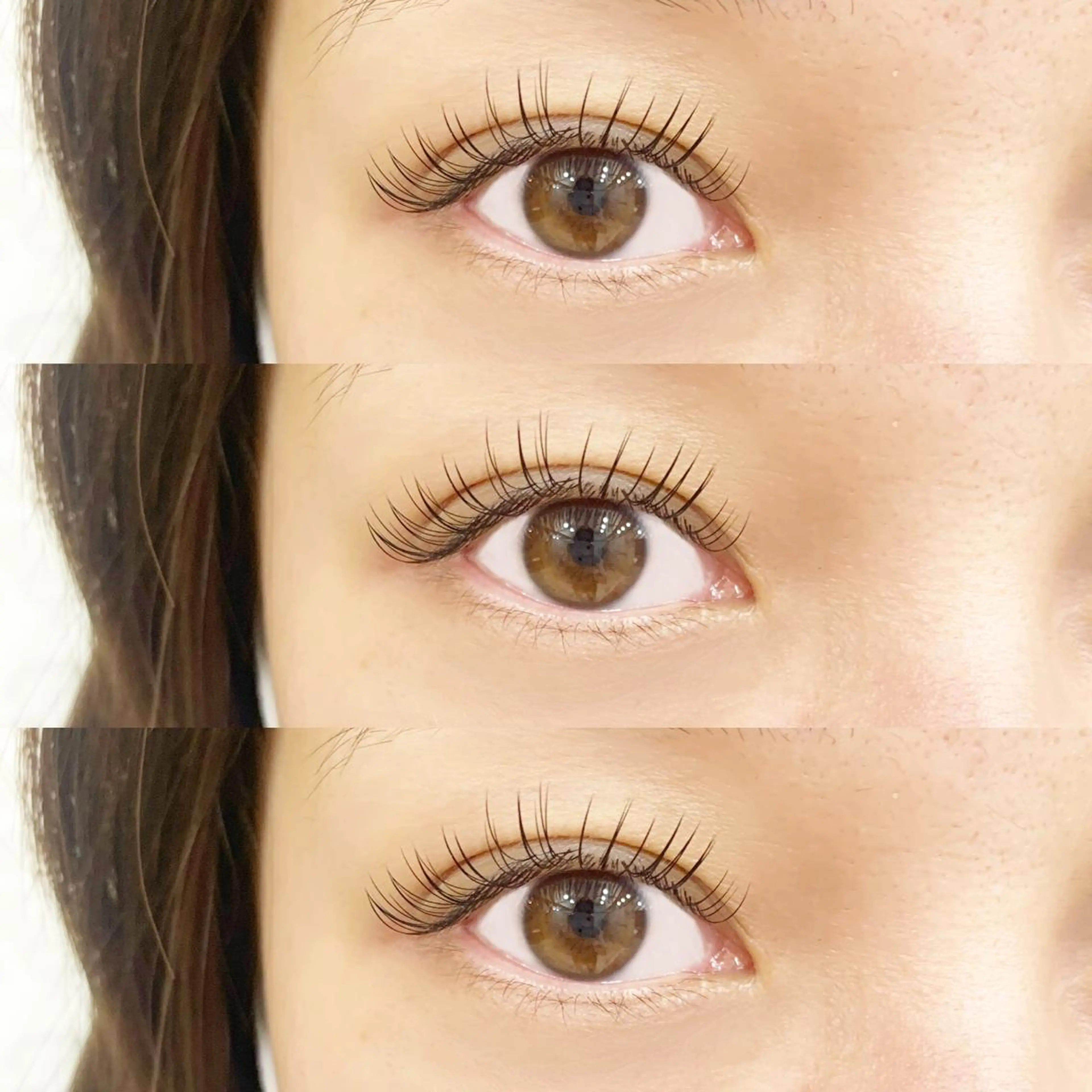 バインドロック80束の写真