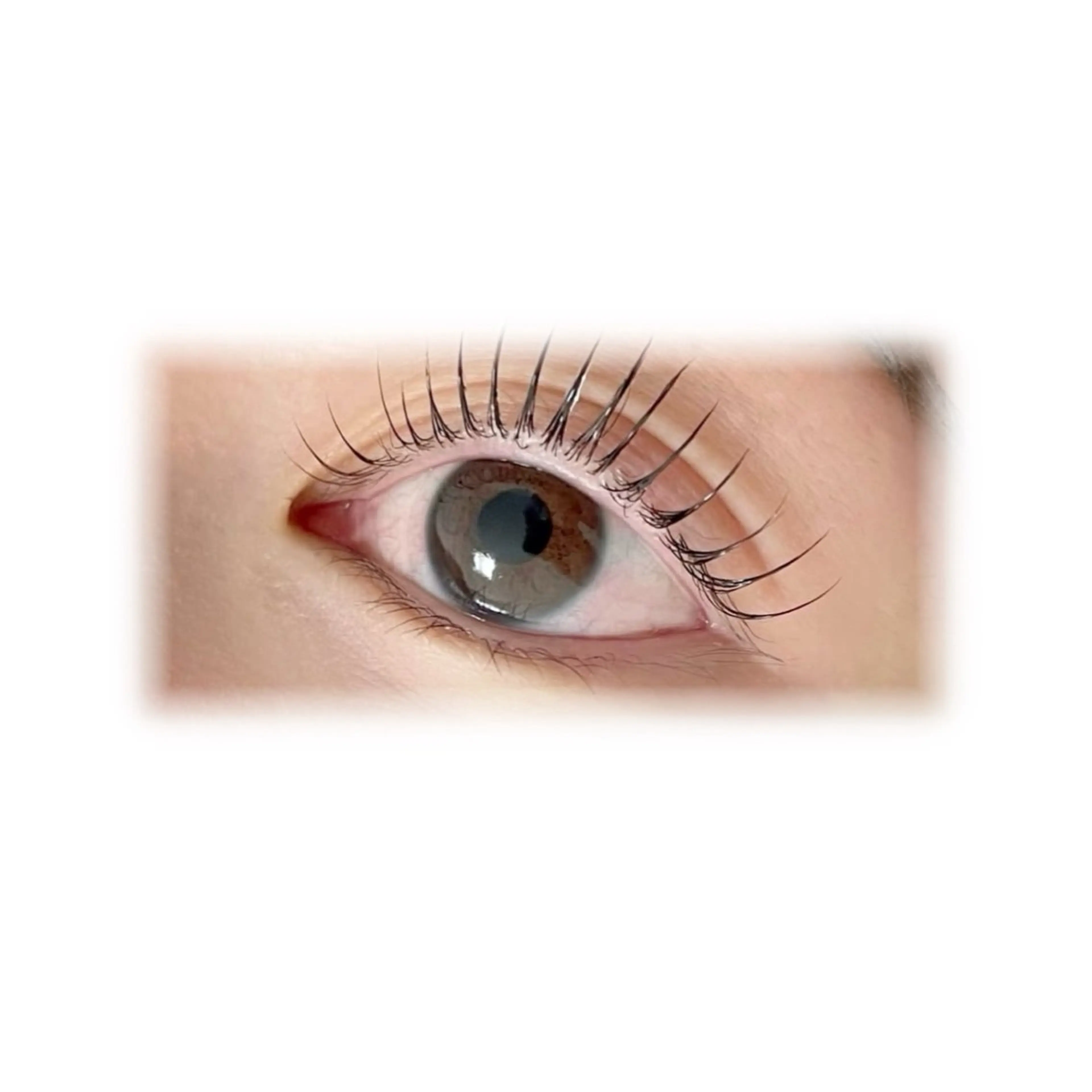 マツエク・マツパ chipie浦添 ITSUKIのマツエク・マツパデザイン