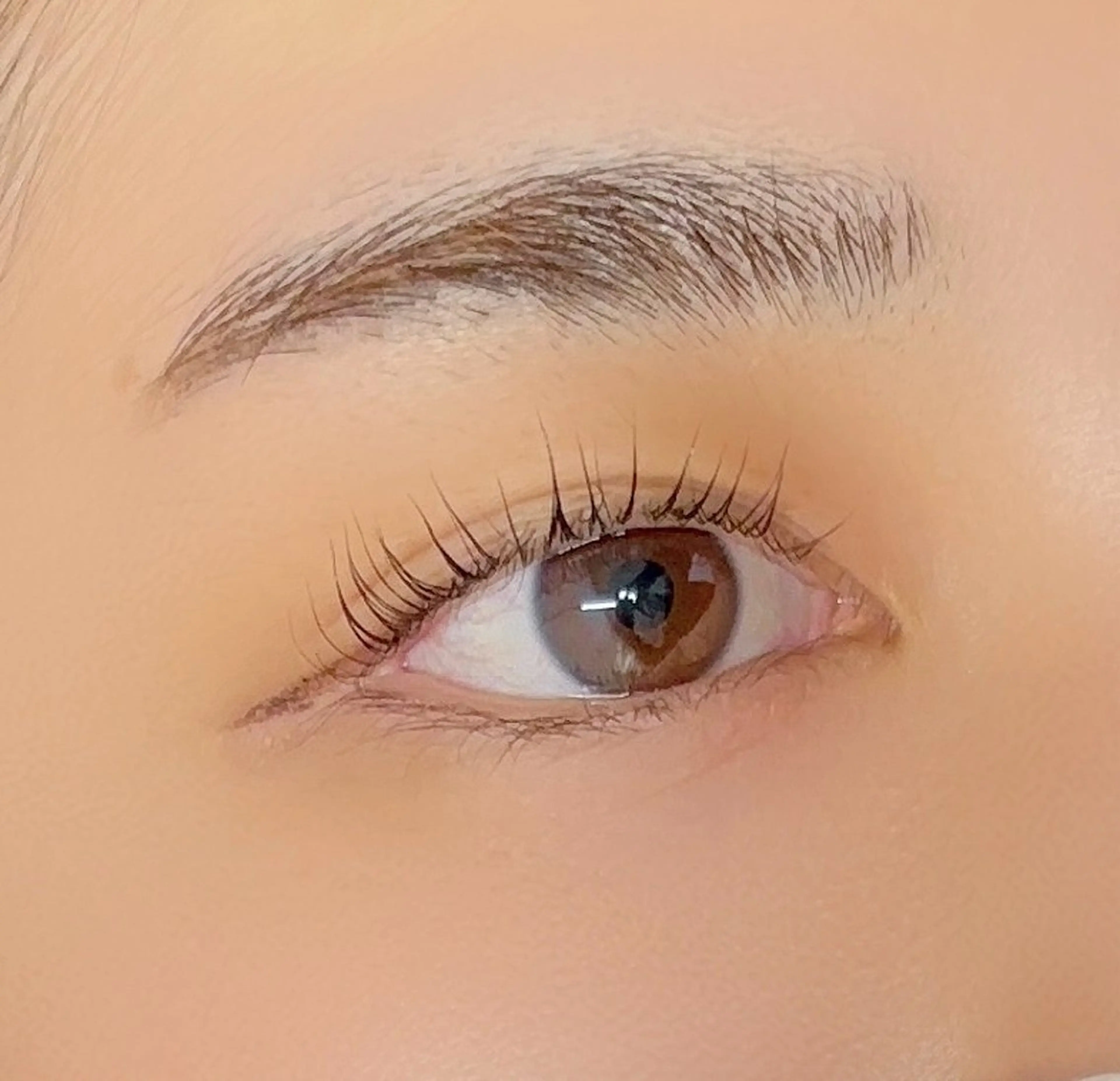 マツエク・マツパ Ayumi.dre 🐹H〈2階〉のマツエク・マツパデザイン