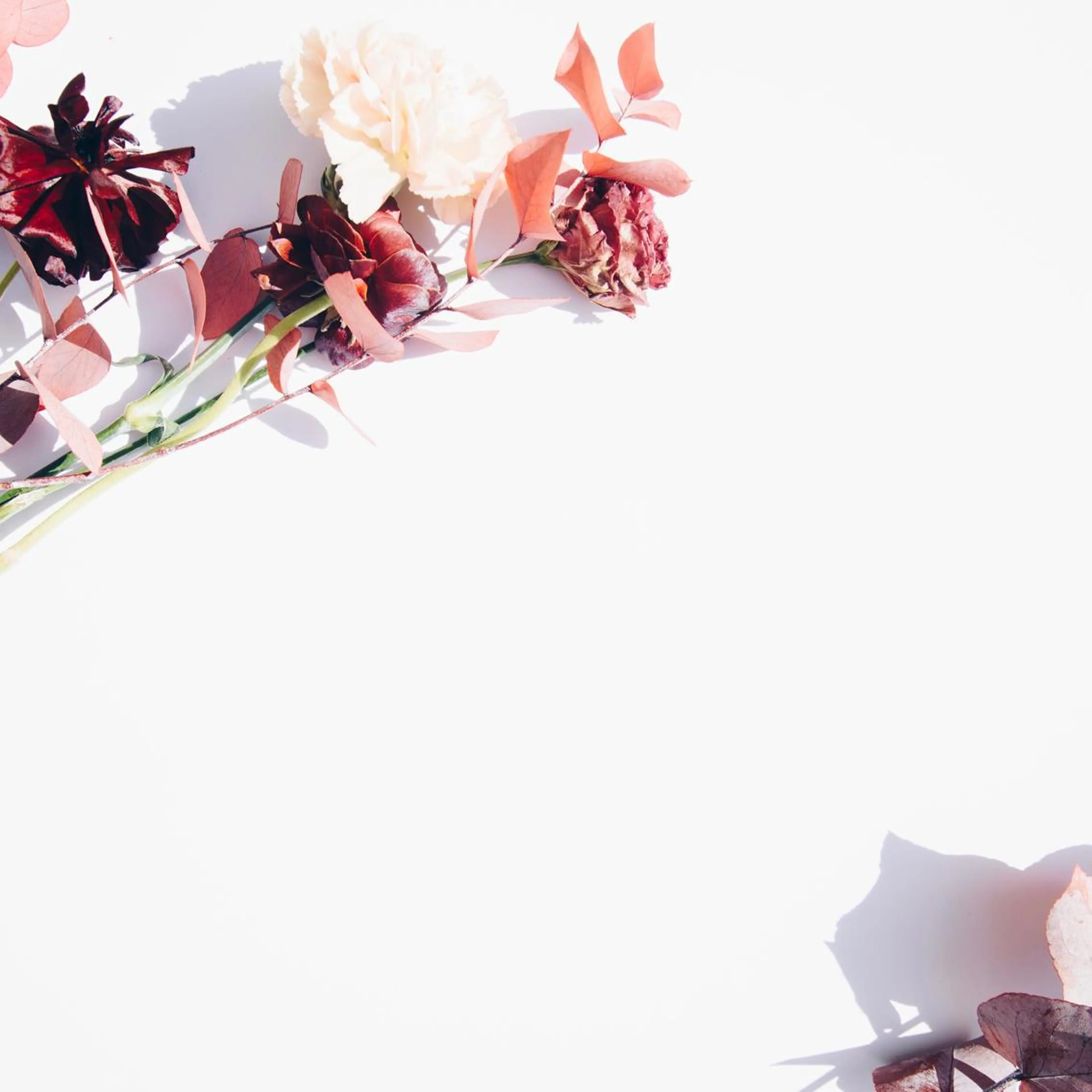 TIÁM eyelashのマツエク・マツパデザイン