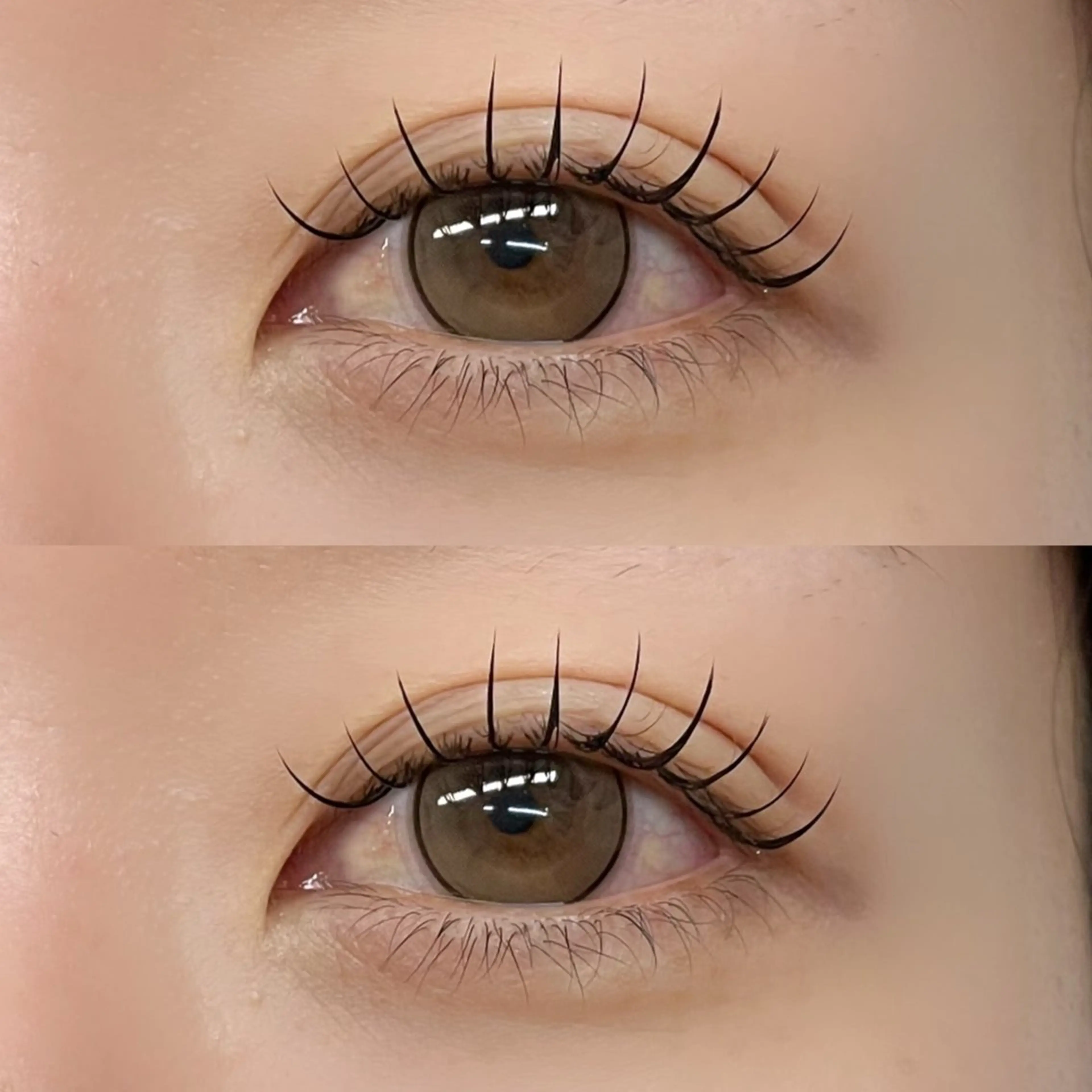 マツエク・マツパ 《BON BON》 miu.のマツエク・マツパデザイン