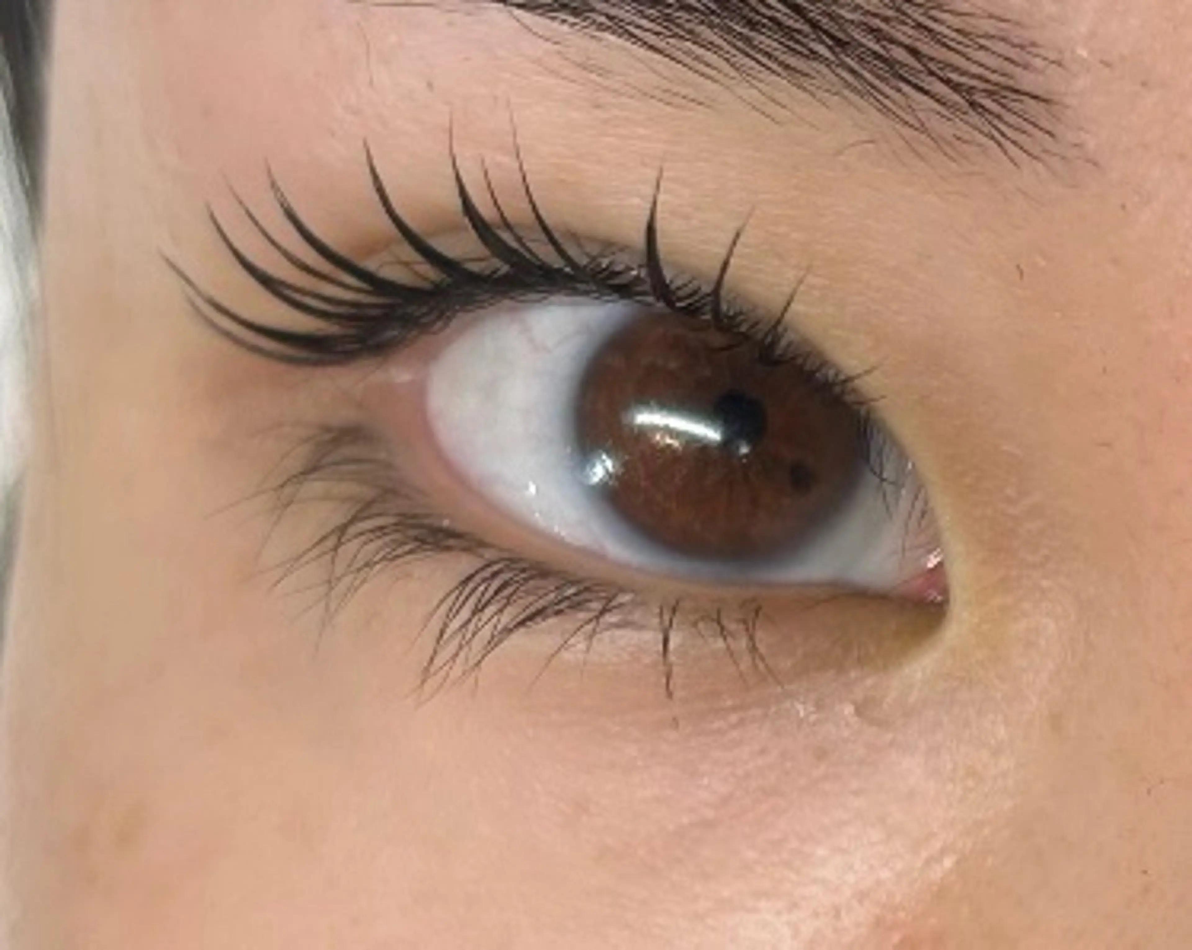 マツエク・マツパ アイブロウ& まつ毛パーマ🫧🪄のマツエク・マツパデザイン