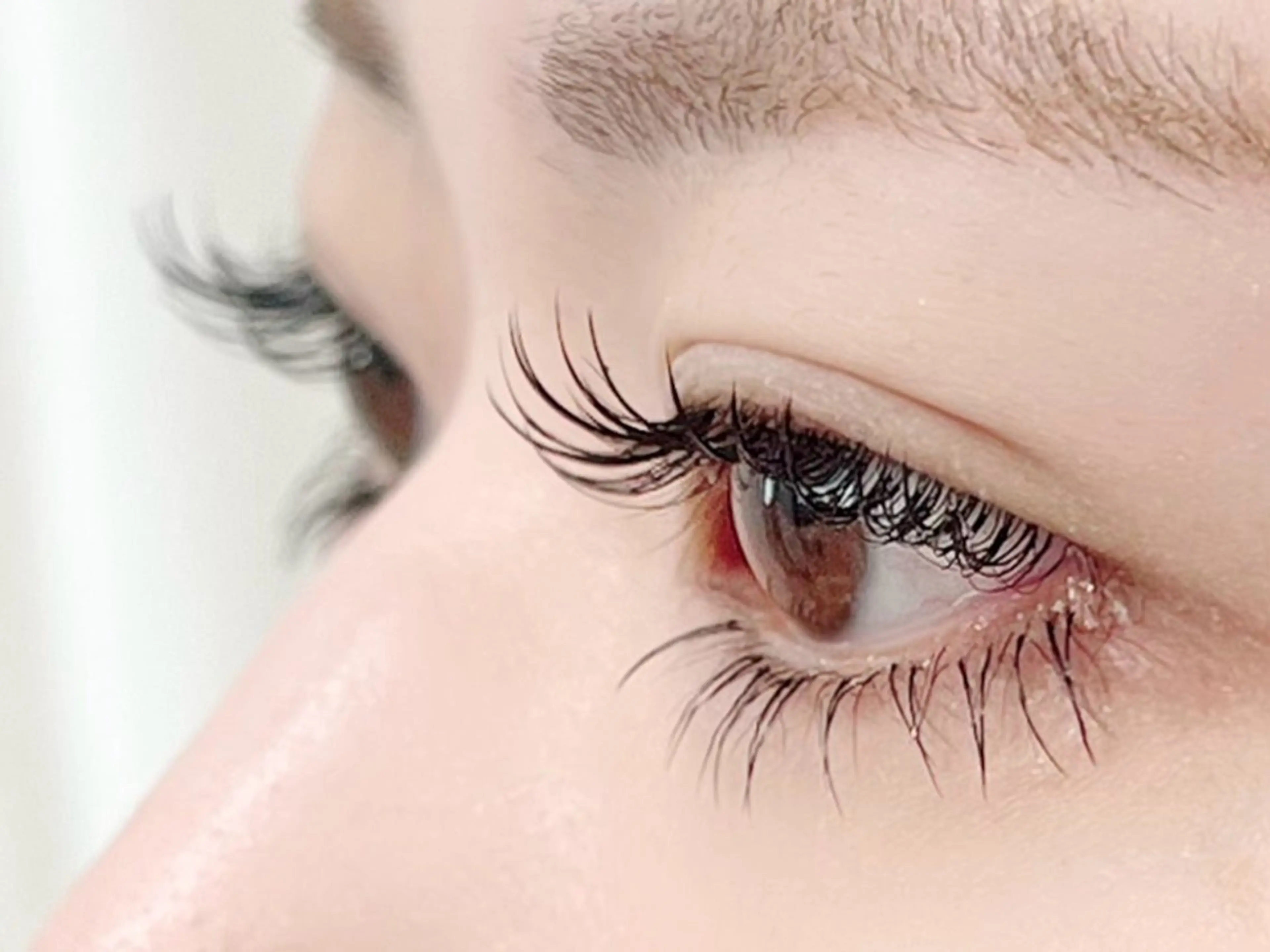 🌹ミニモ限定🌹 LEDフラットラッシュ120本 オフ.コーティング込みの写真