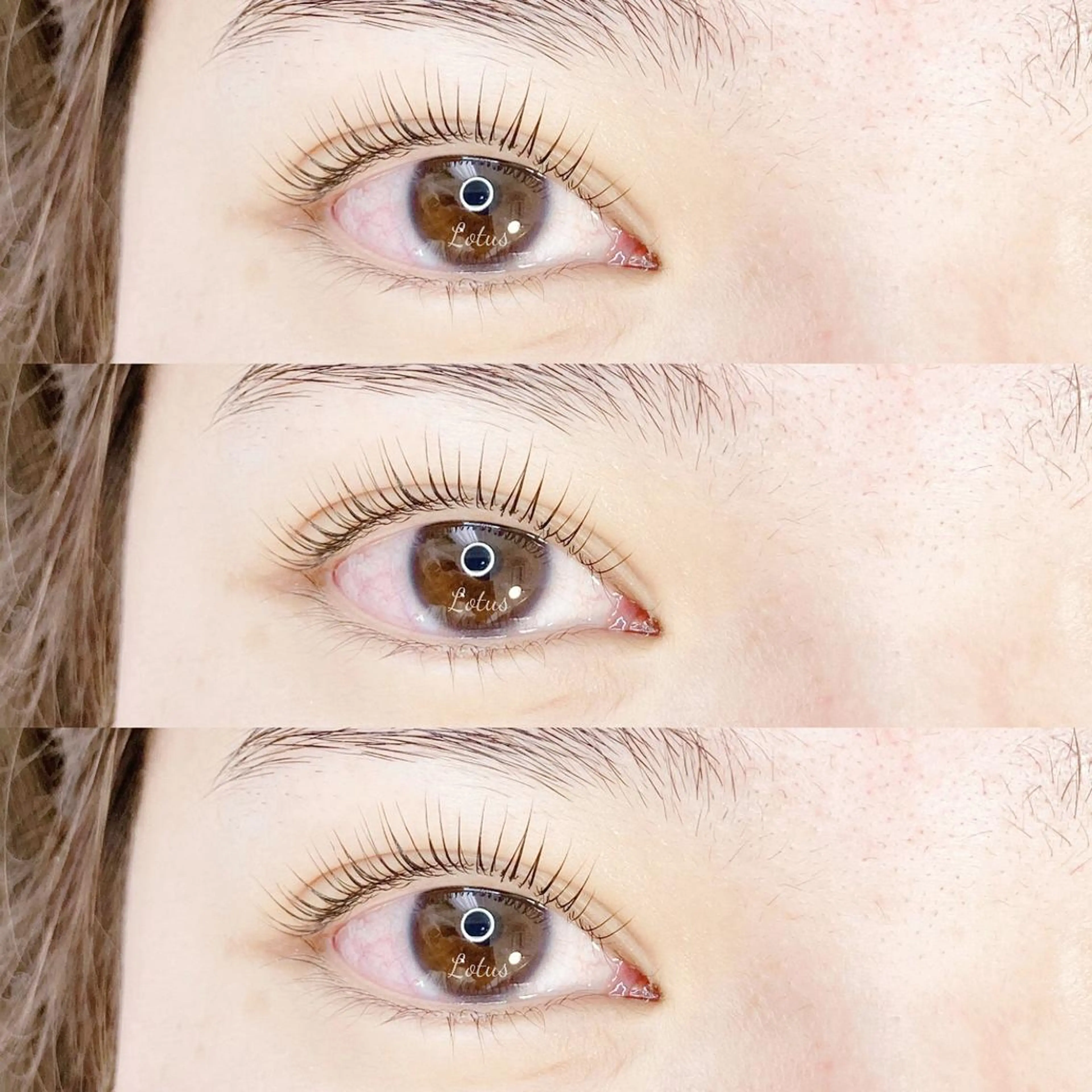 マツエク・マツパ マツパ Lotus所属・Lotus ロータスのマツエク・マツパデザイン