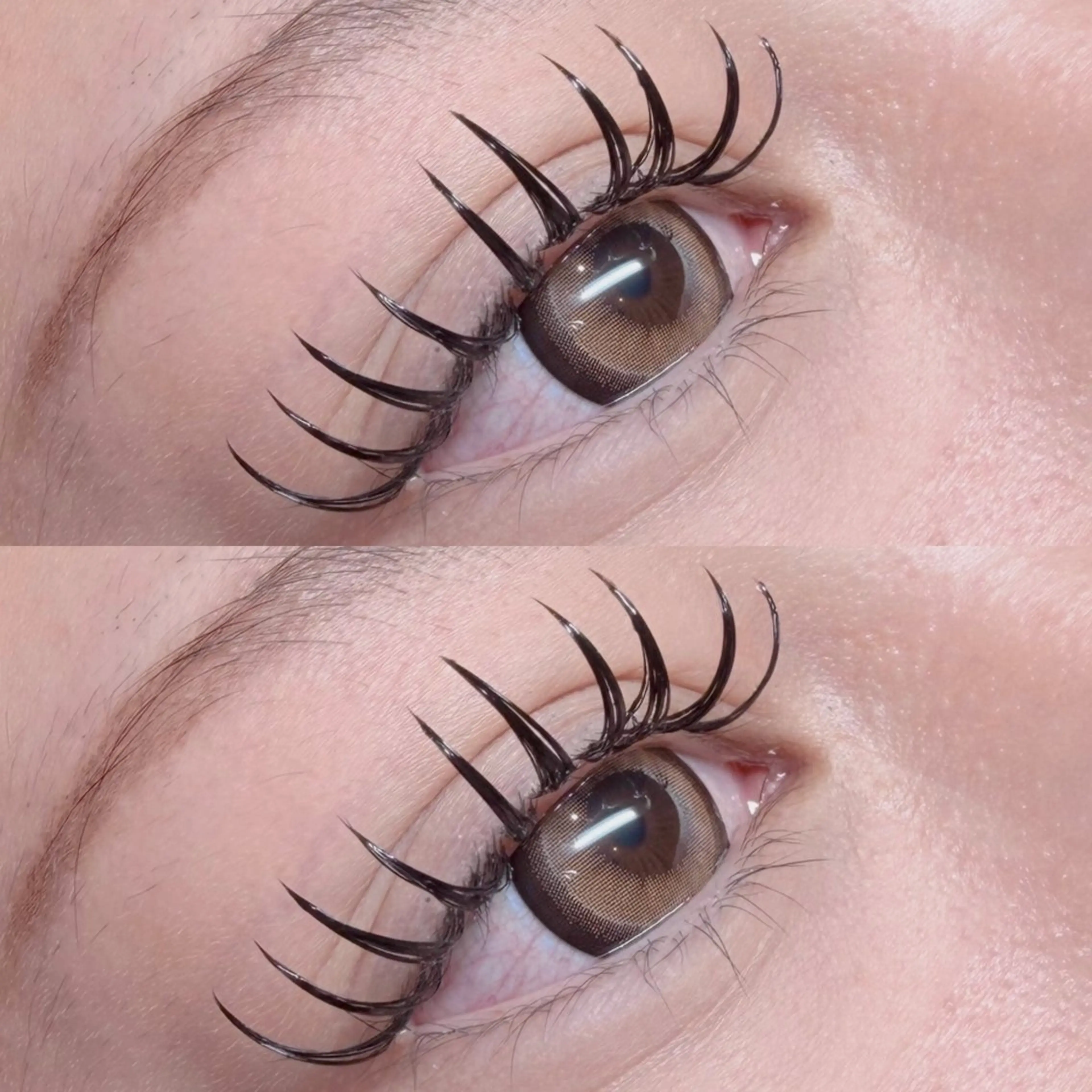 メガフラット160本or240本（コーティングお仕上げ付き）の写真