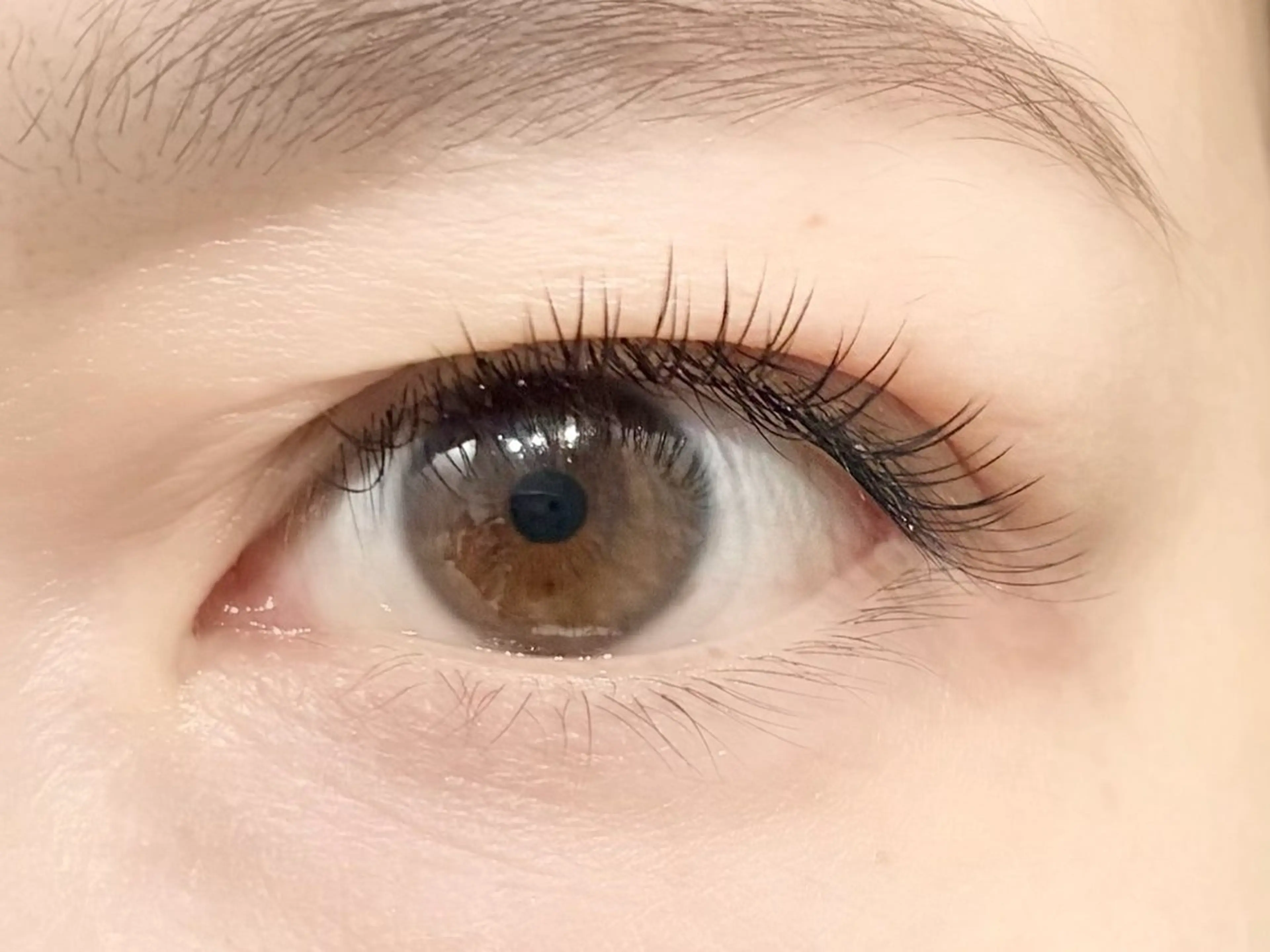 マツエク・マツパ マツエク 中村彩香 (エフドゥ)のマツエク・マツパデザイン