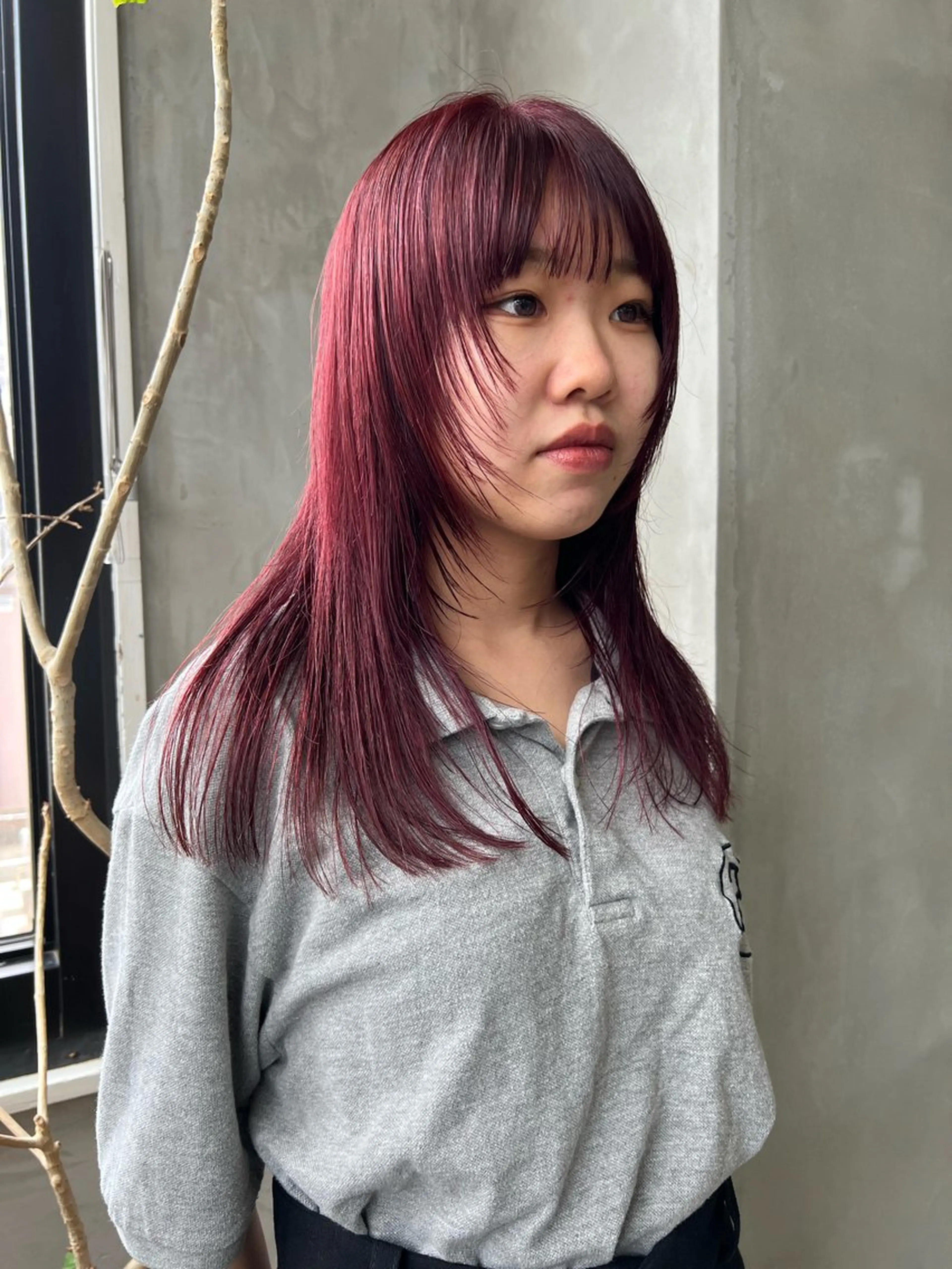 ミディアム カラー ウルフカット カット ヘアカラー トリートメント Kaito🐶/ デザイン/レイヤーのヘアスタイル