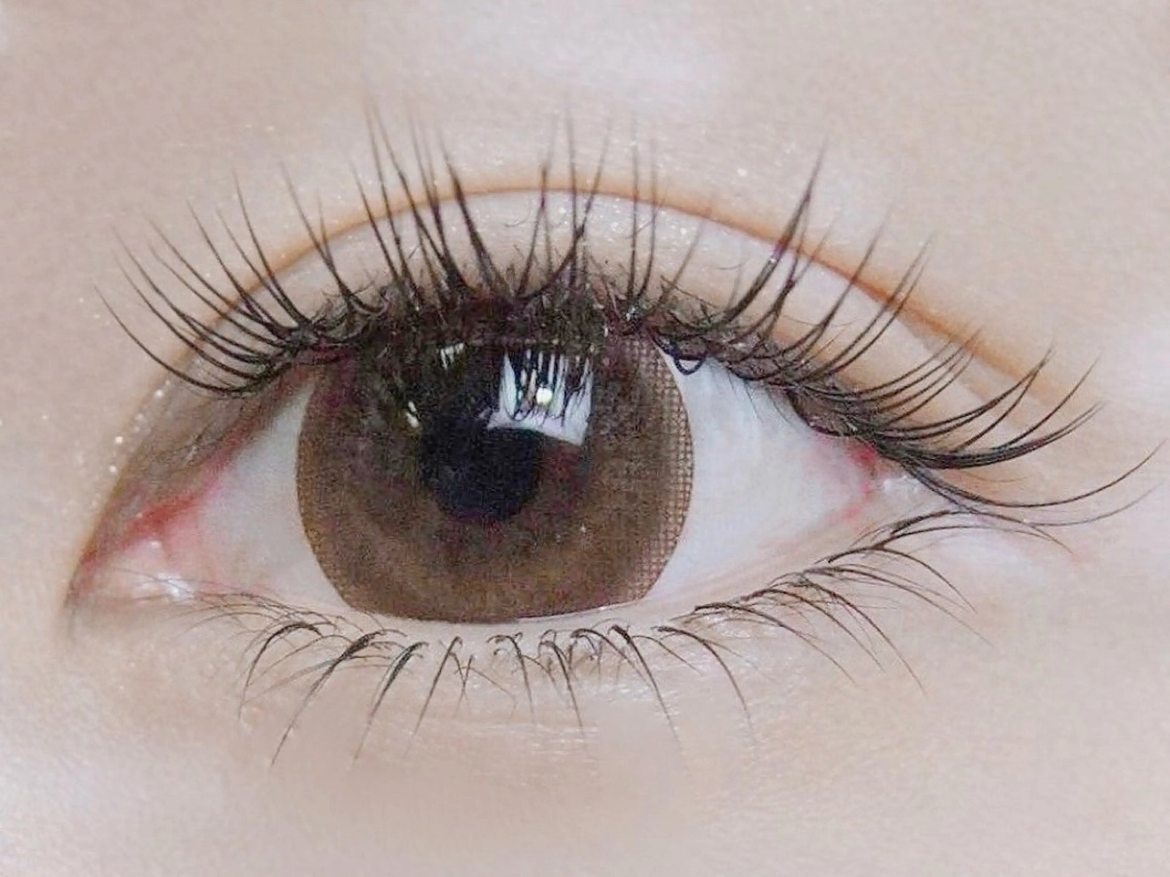 フラットラッシュ80本の写真