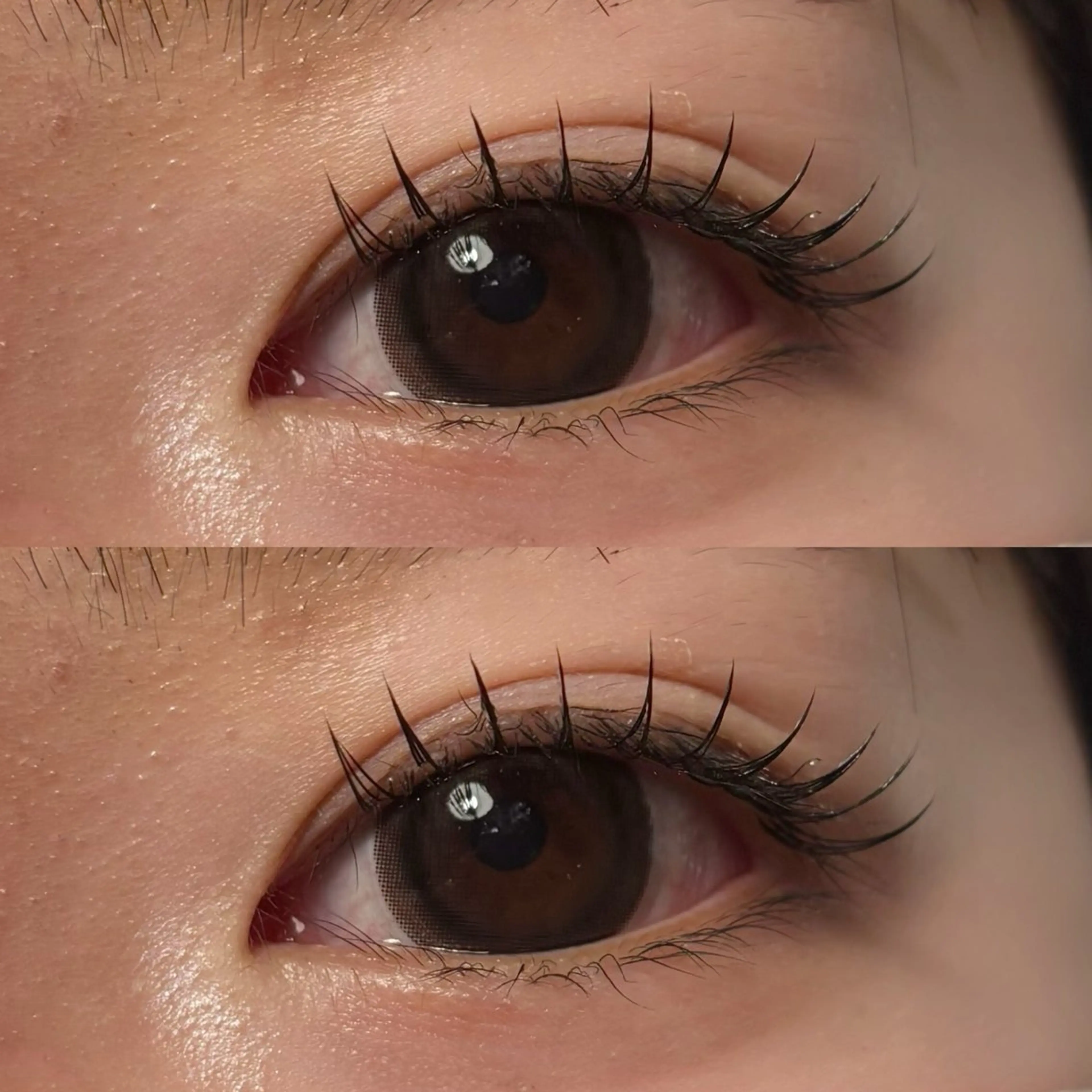 マツエク・マツパ フラットラッシュ ナチュラル 🍇chinatsu 🍇en Rêveのマツエク・マツパデザイン