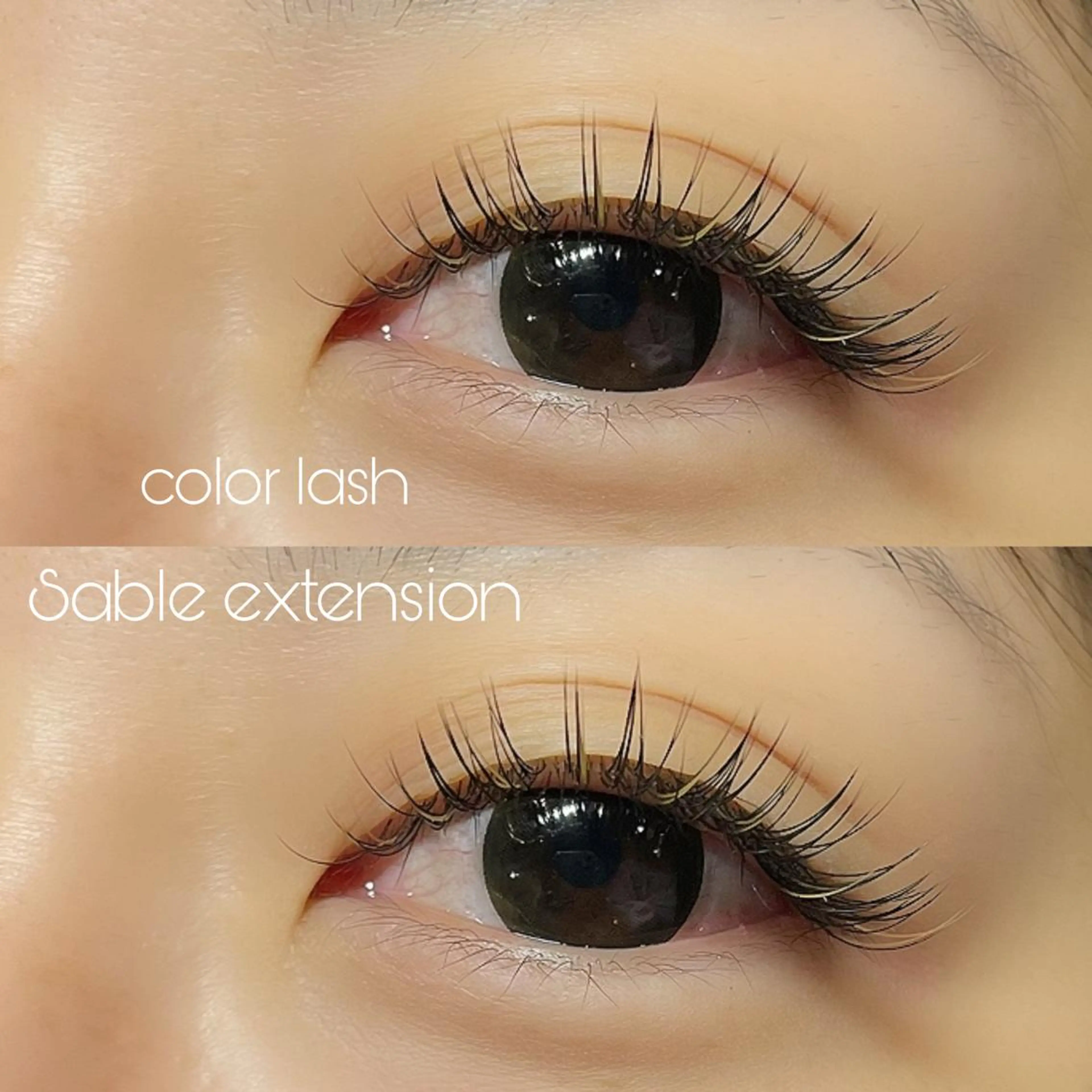 【高品質】フラットラッシュ100本✨の写真