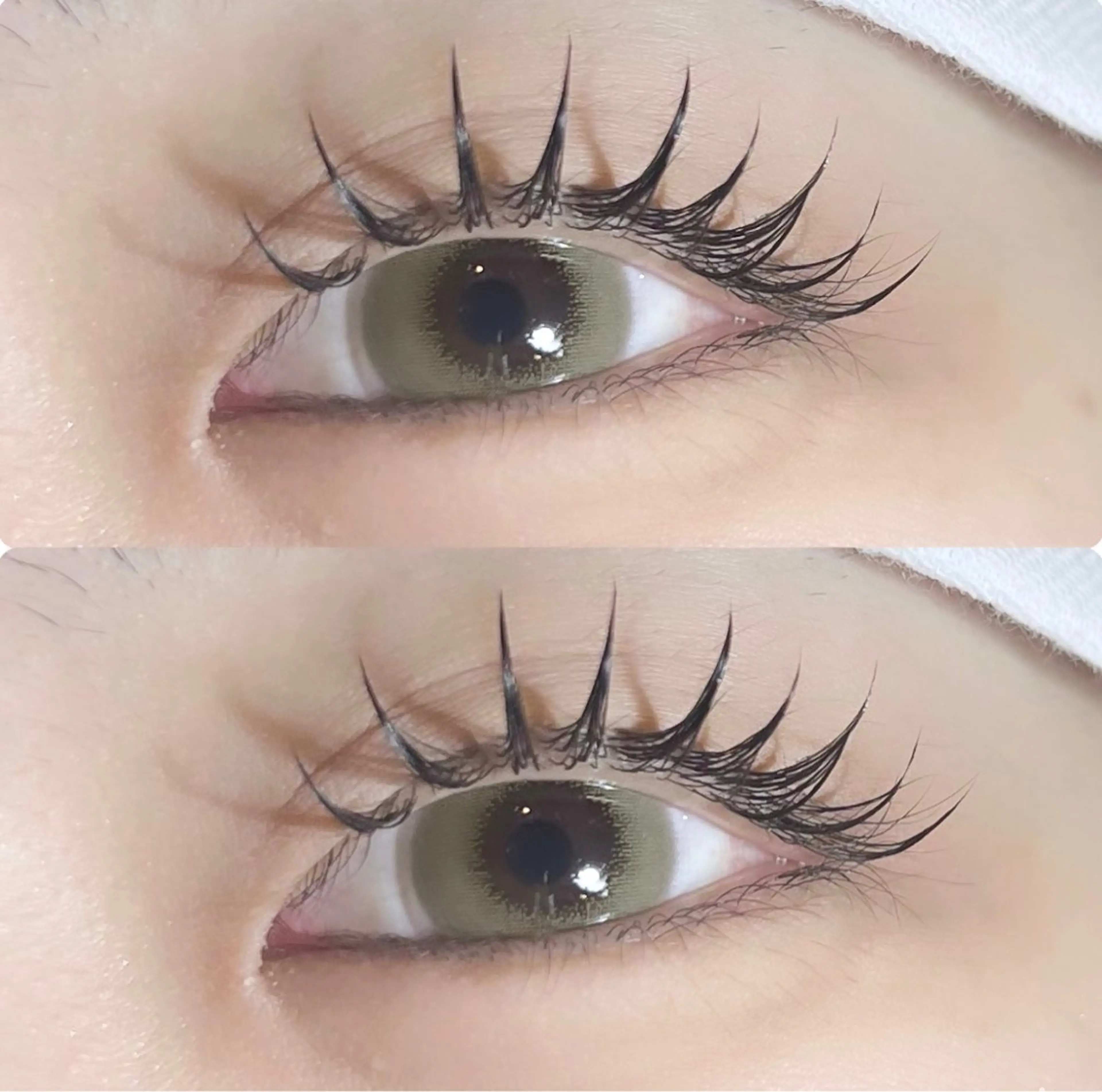 ✨韓国で大人気マスカラパーマ🇰🇷✨の写真