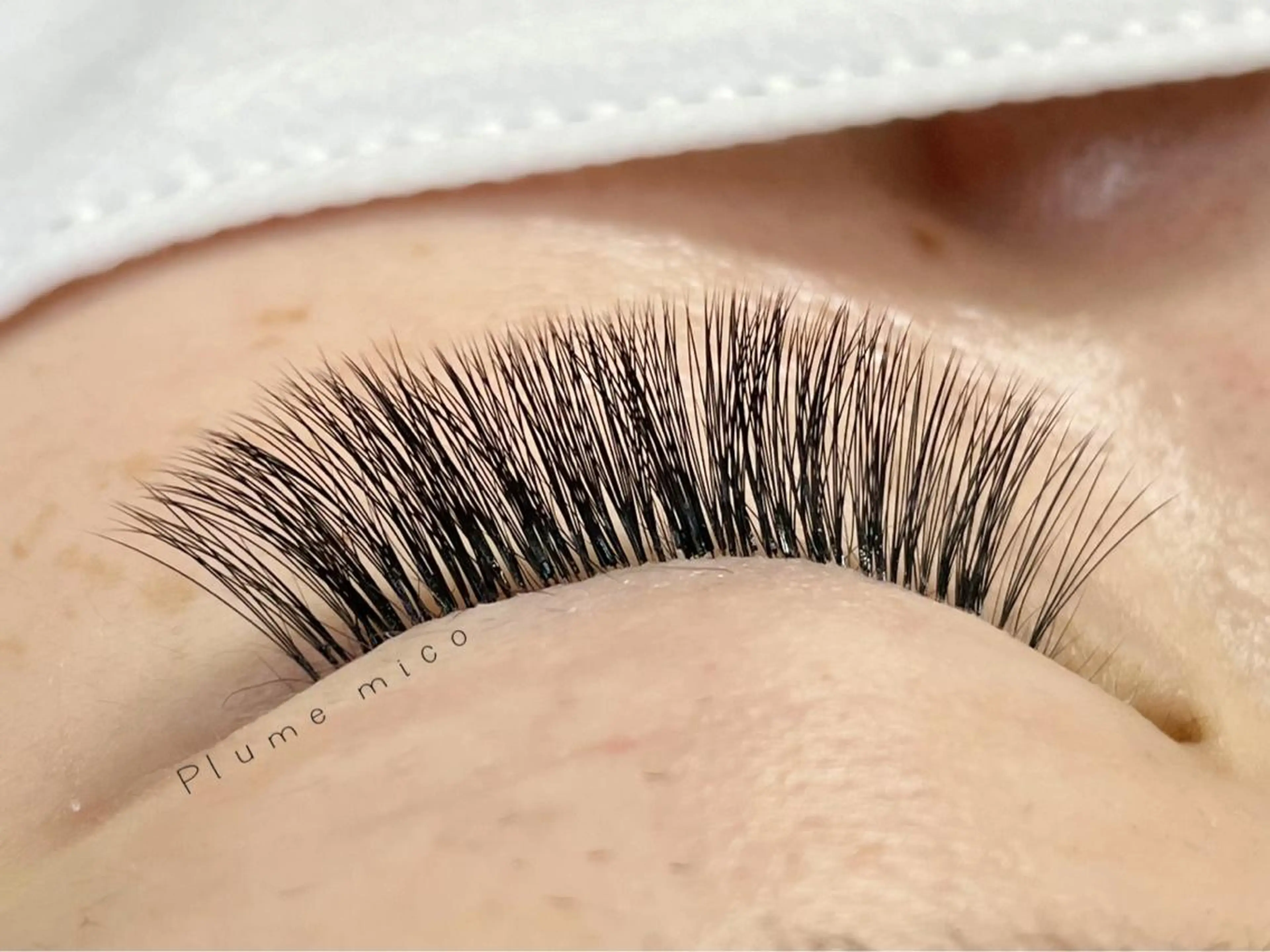 マツエク・マツパ マツエク Plume micoのマツエク・マツパデザイン