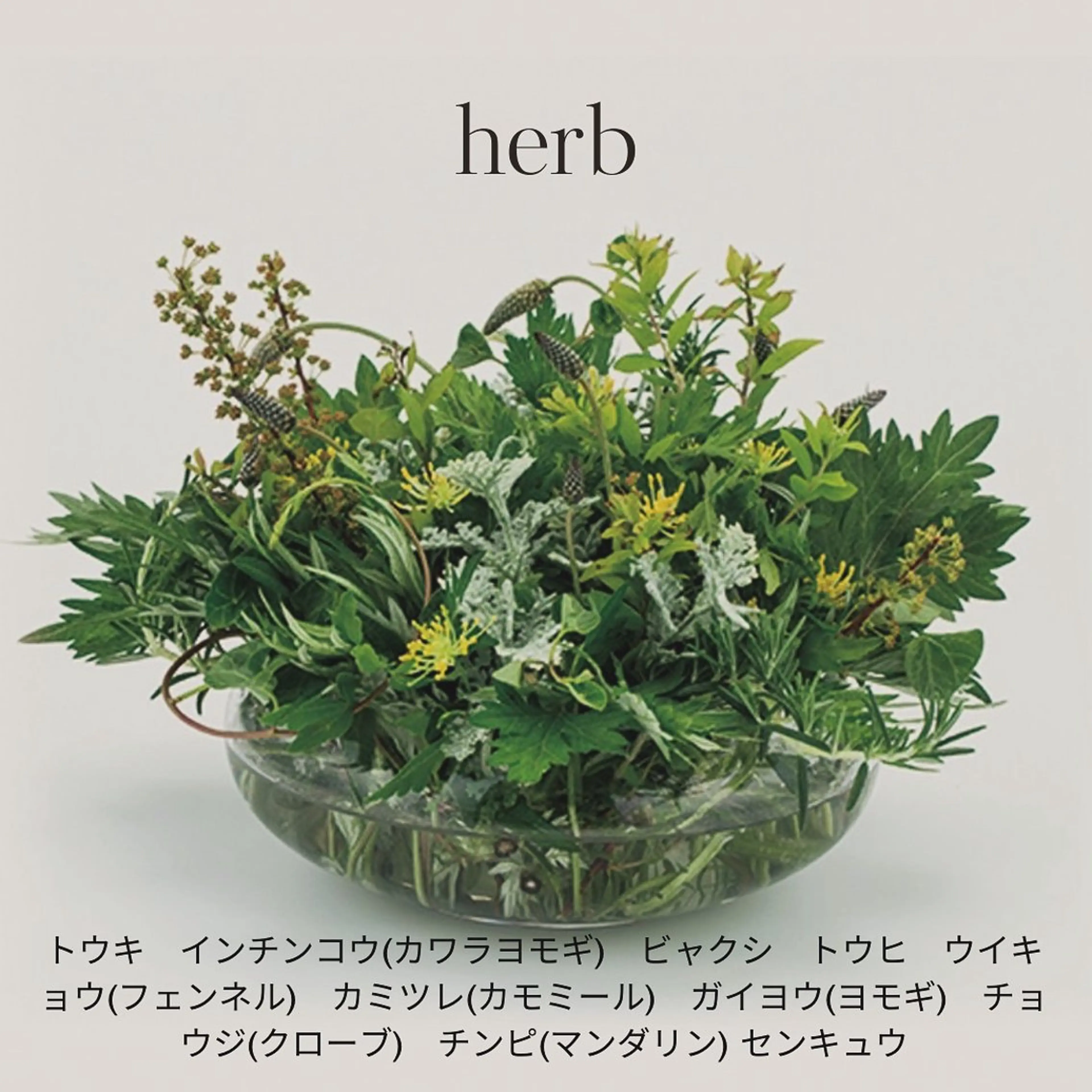 温活　代謝促進！冷え対策コース/８０分の写真