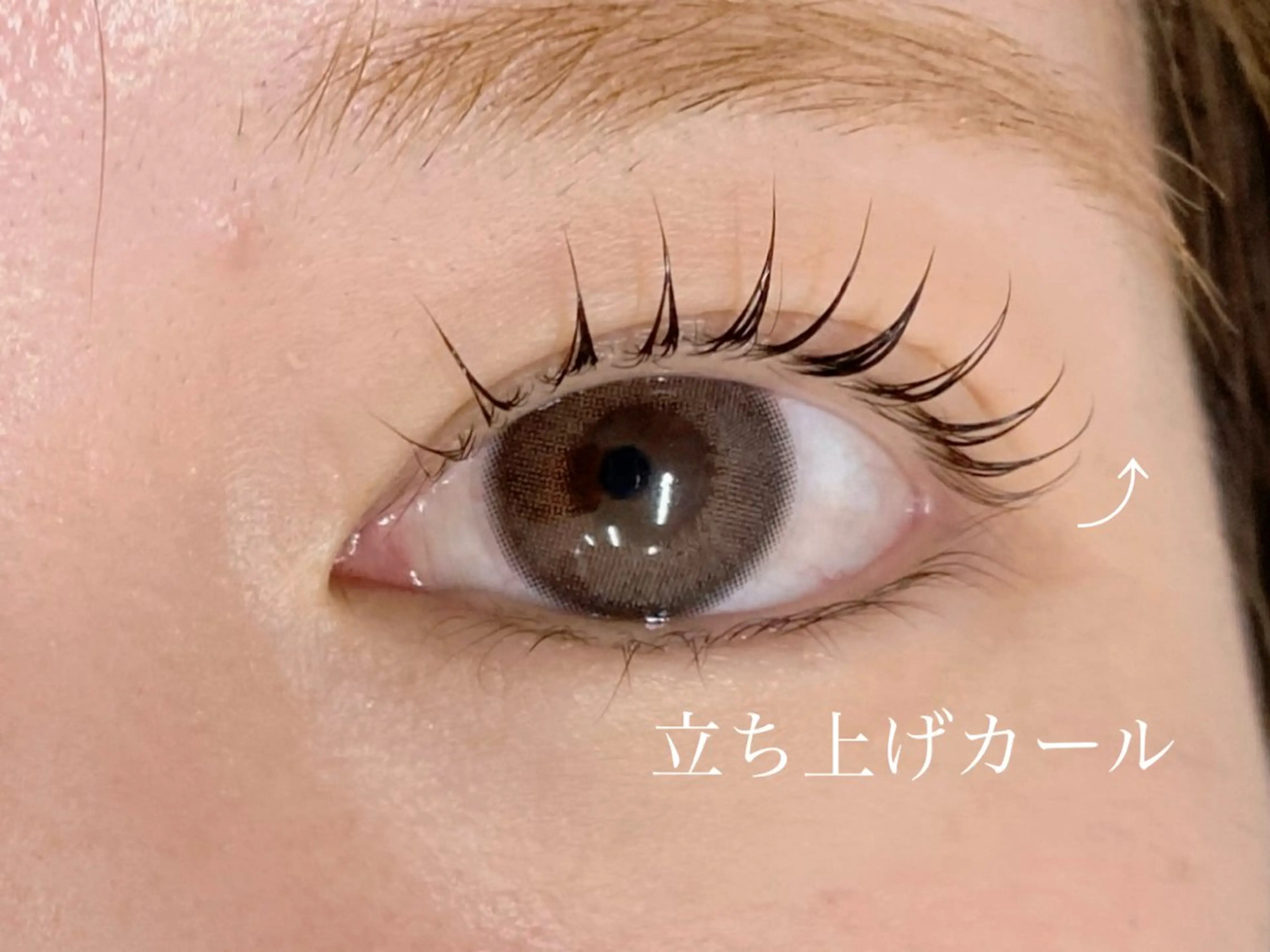 マツエク・マツパ マツパ レヴ lev.のマツエク・マツパデザイン