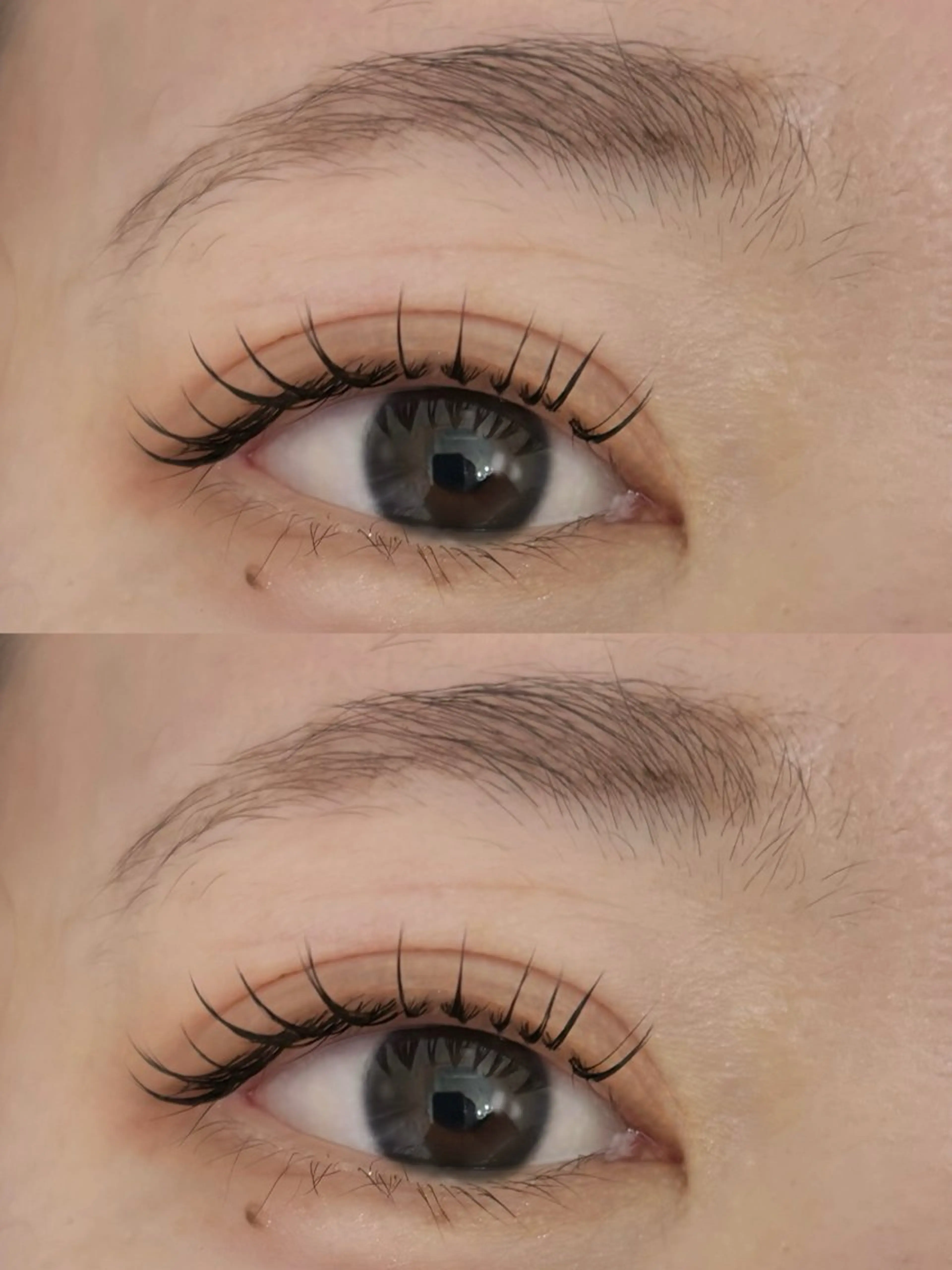 デビュー特別価格LEDエクステ上120本・LEDエクステ下30本の写真