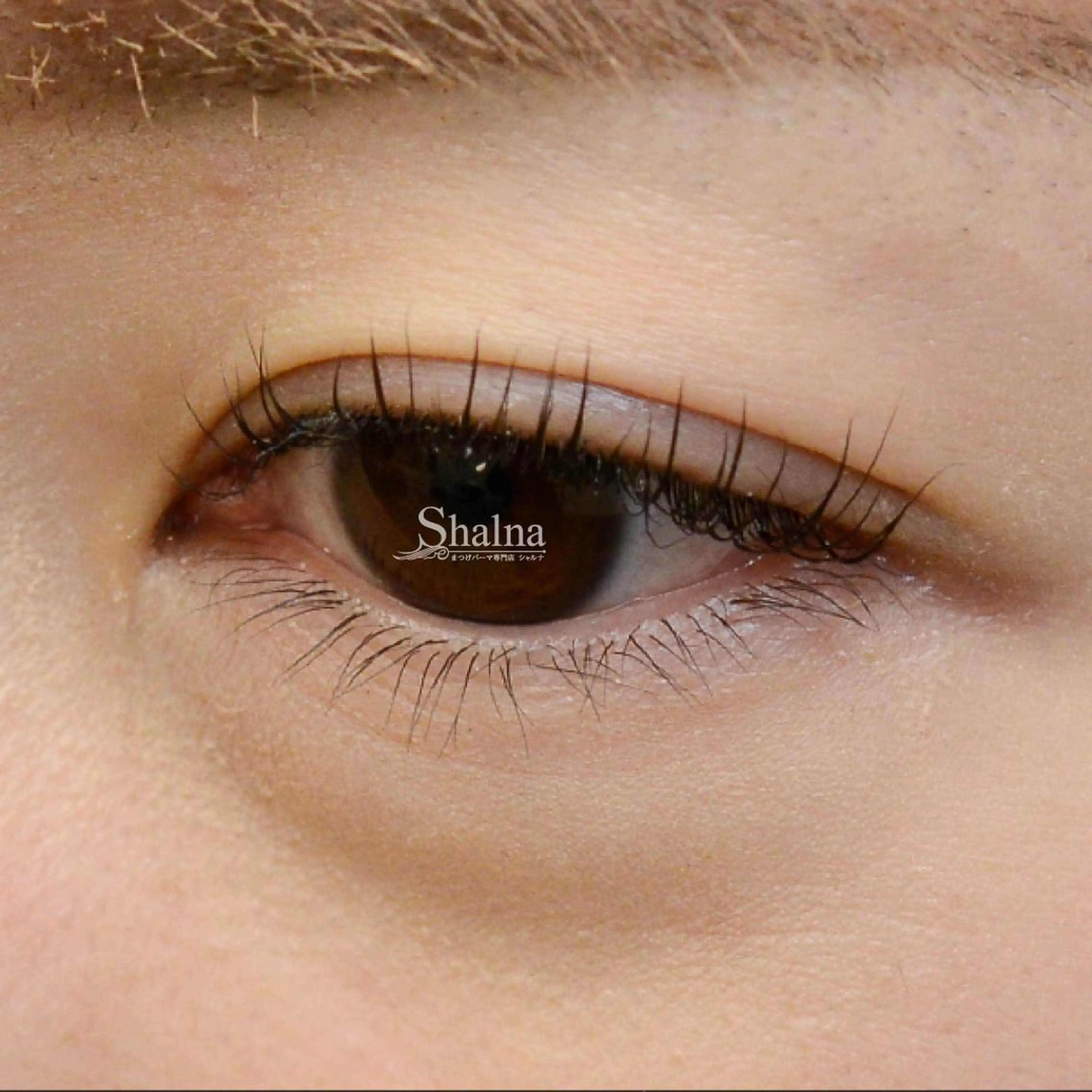 マツエク・マツパ まつげパーマ専門店 シャルナ 上野店のマツエク・マツパデザイン