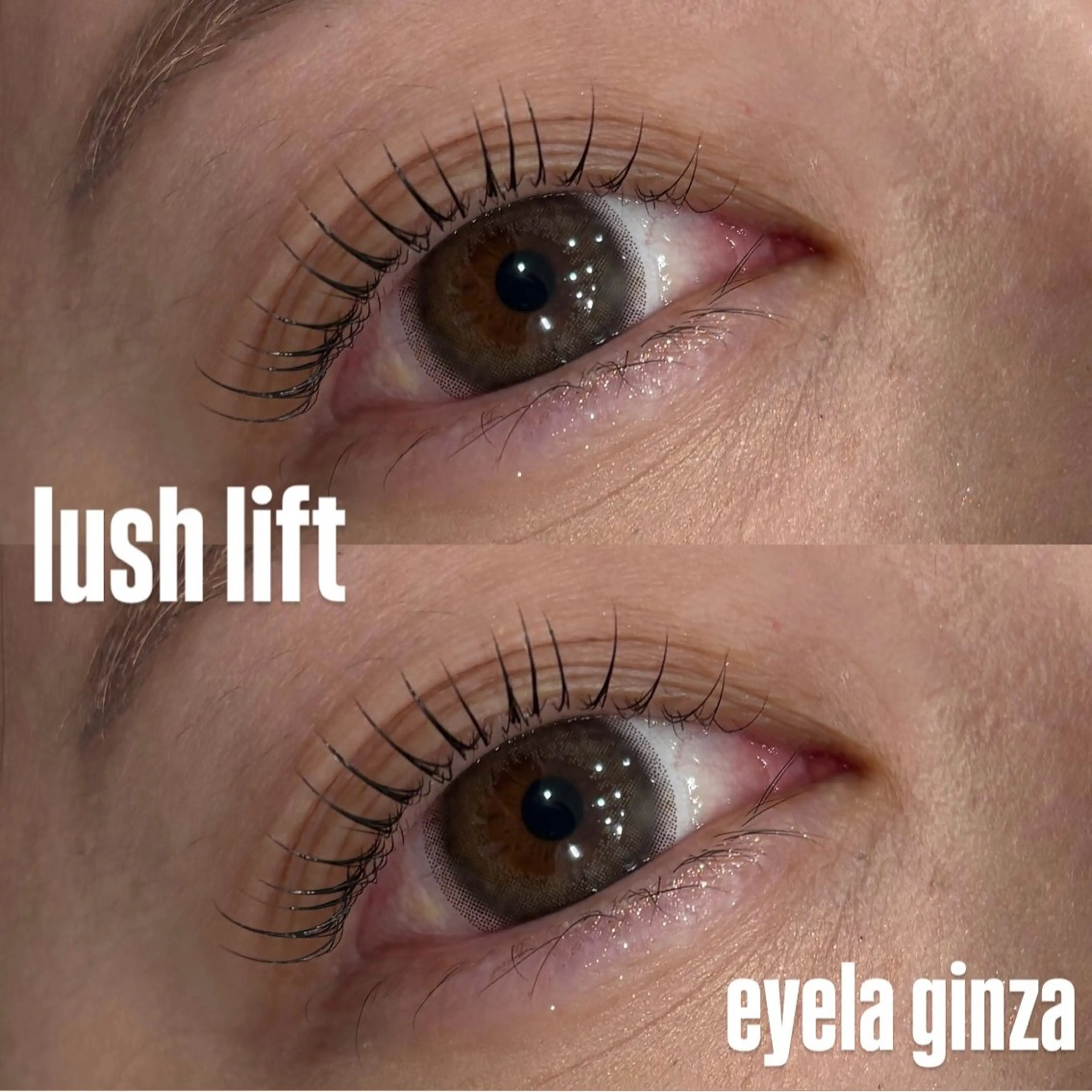 マツエク・マツパ EYELA maho 銀座のマツエク・マツパデザイン